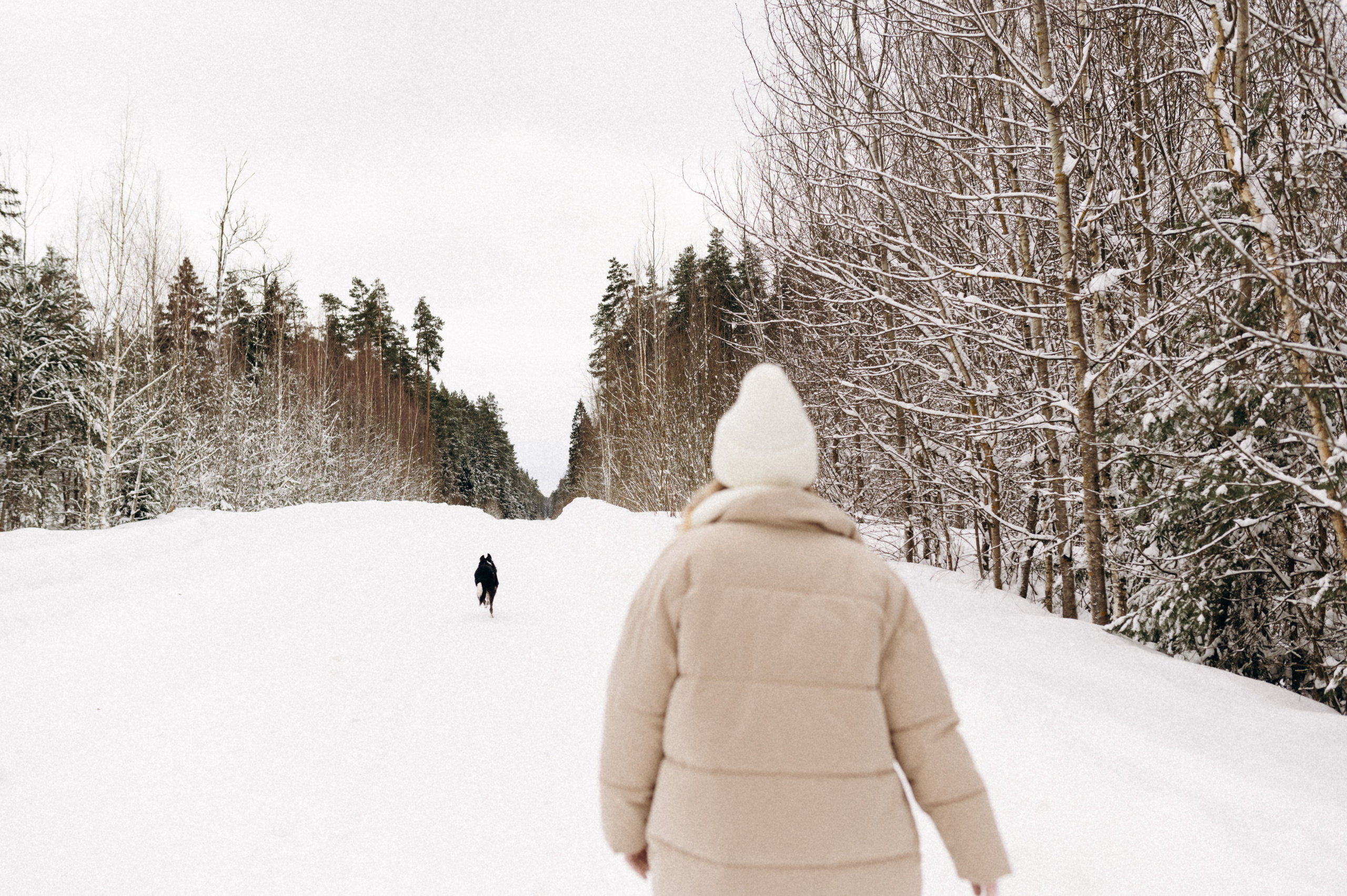 Аня и Милан. Фотограф анималист в Москве Ольга Агушева