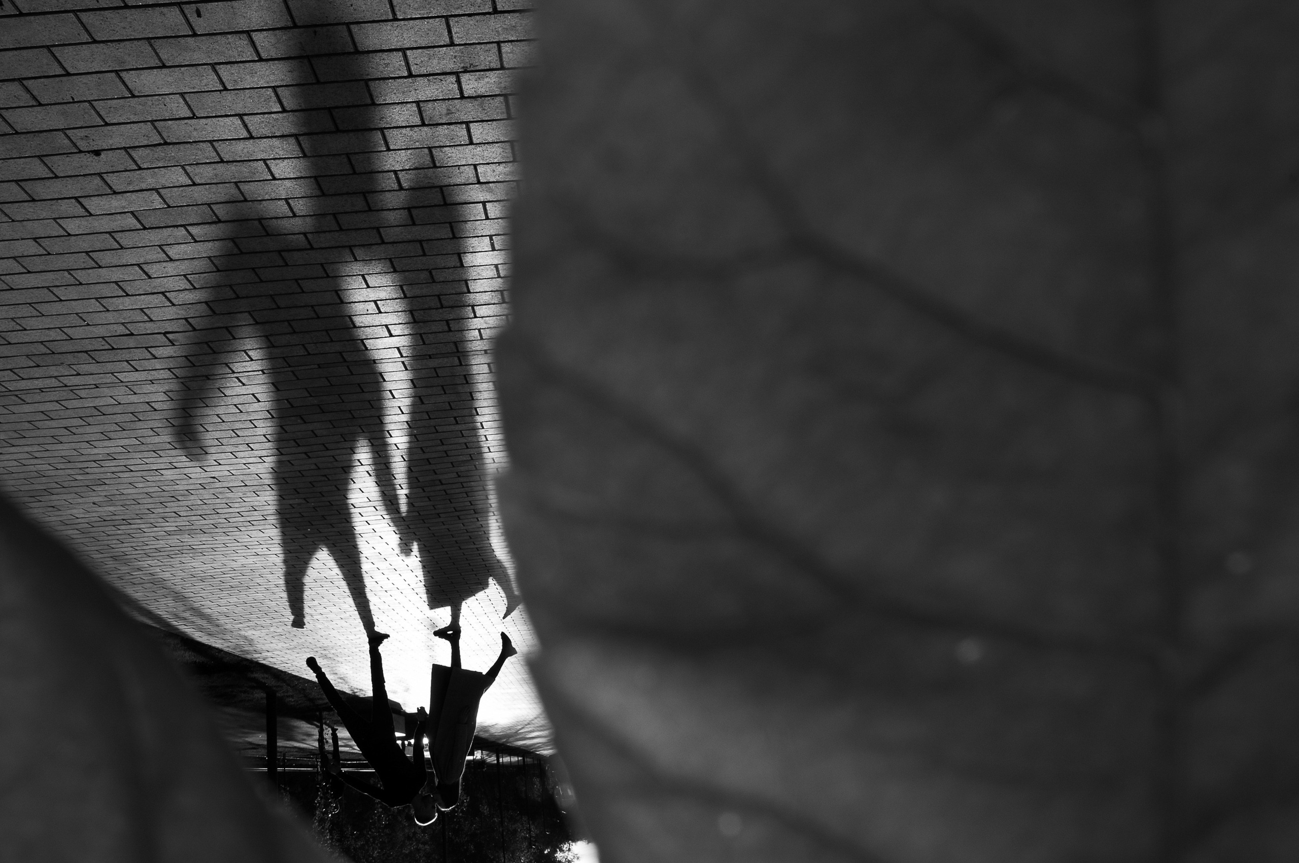 Слава и Лиза. Свадебный фотограф в Москве Евгений Рыжов