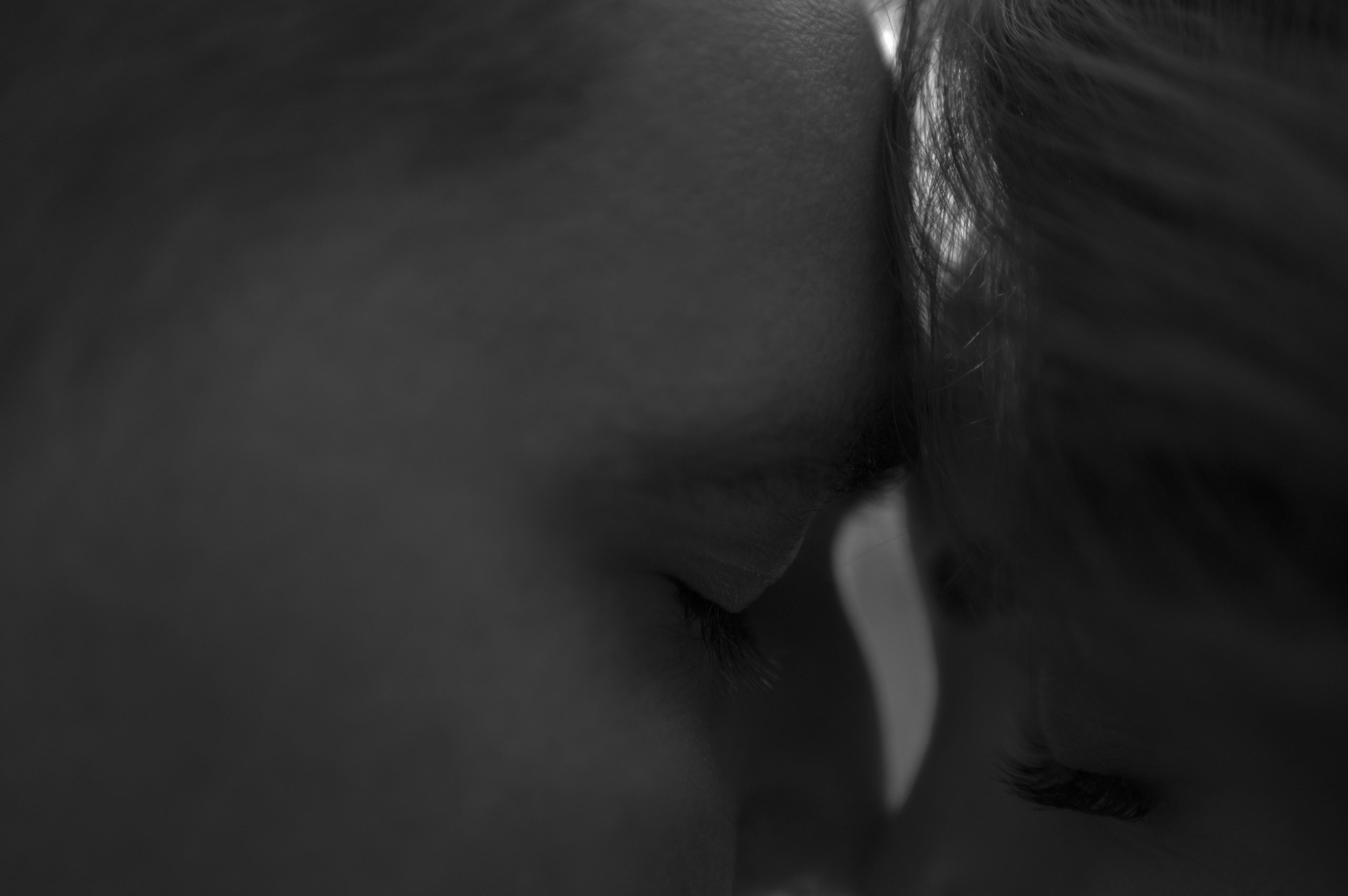 Саша и Даша. Свадебный фотограф в Москве Евгений Рыжов