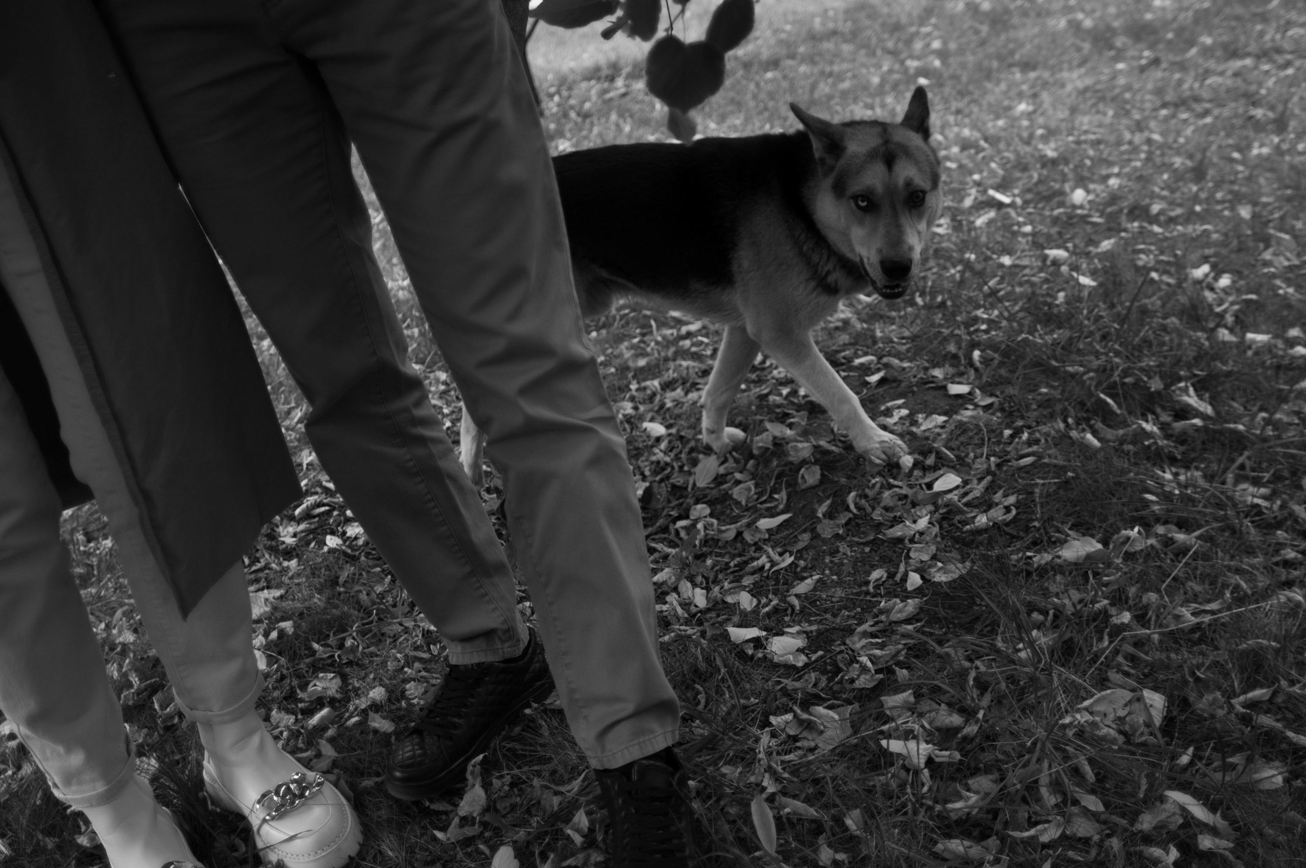 Максим и Люба. Свадебный фотограф в Москве Евгений Рыжов