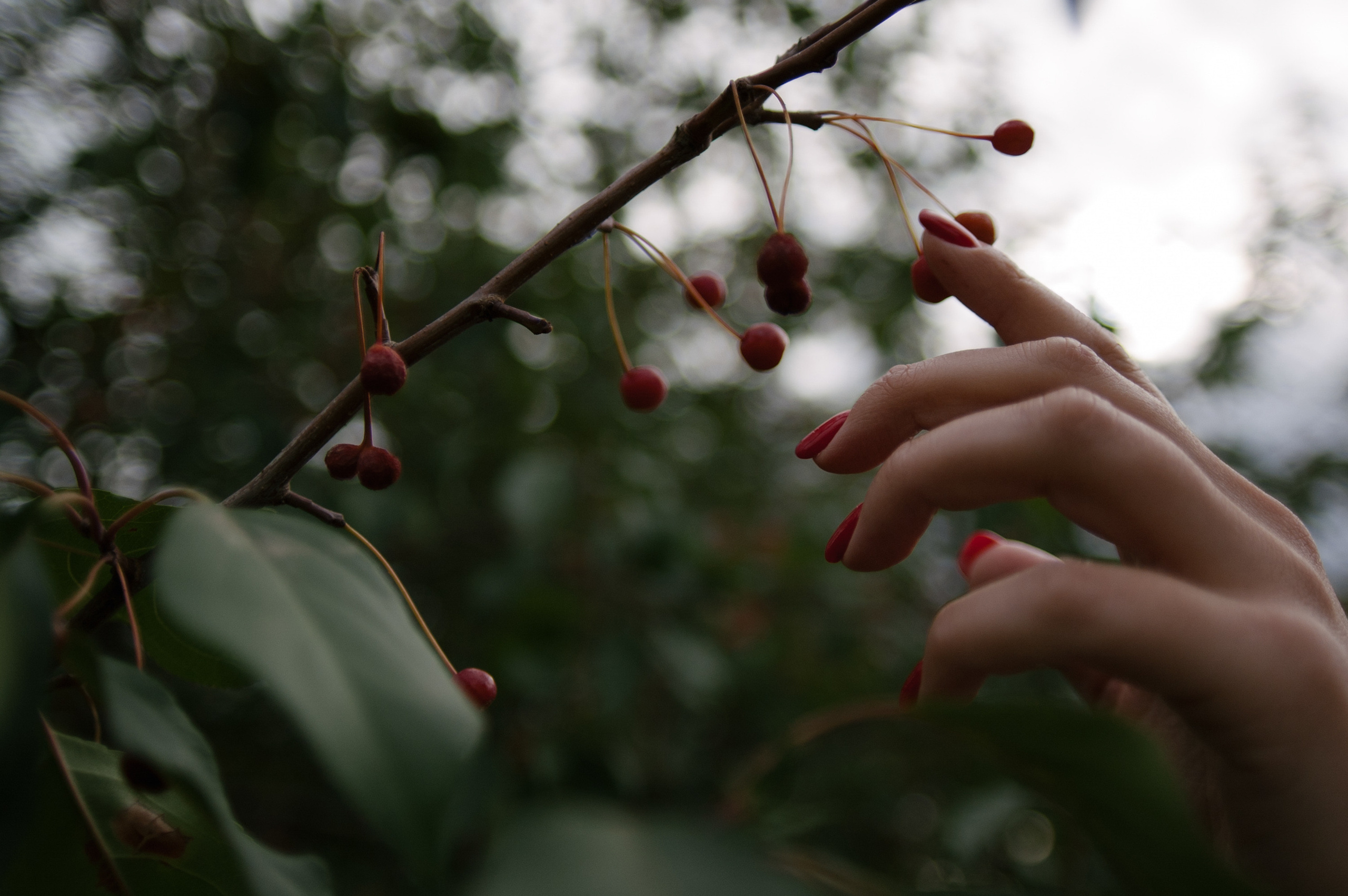 Максим и Люба. Свадебный фотограф в Москве Евгений Рыжов