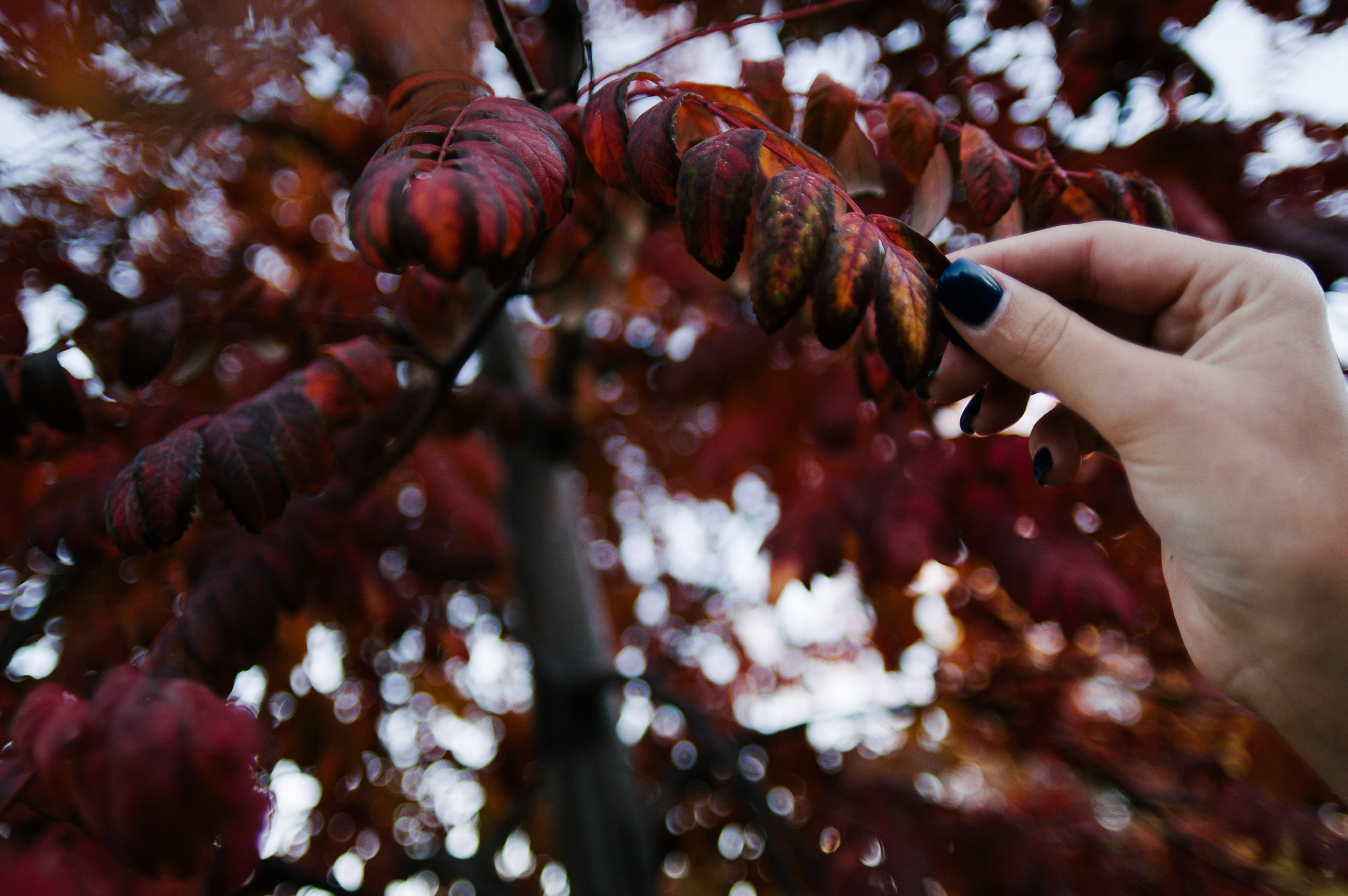 Слава и Лиза. Свадебный фотограф в Москве Евгений Рыжов