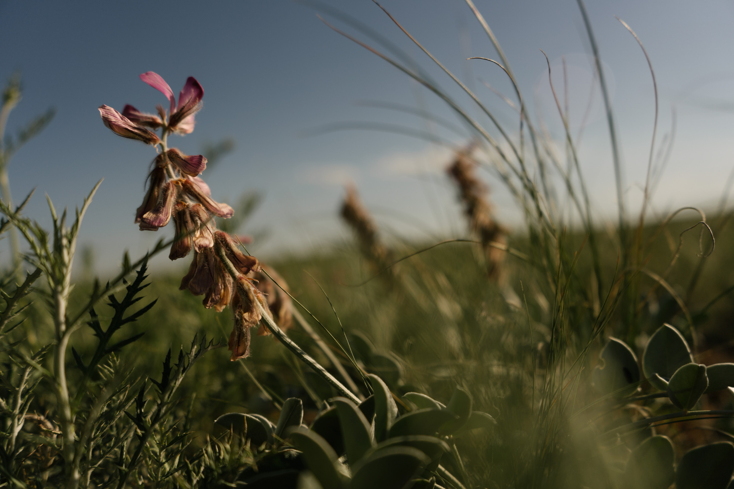 Саша, Вика и Алиса. Свадебный фотограф в Москве Евгений Рыжов