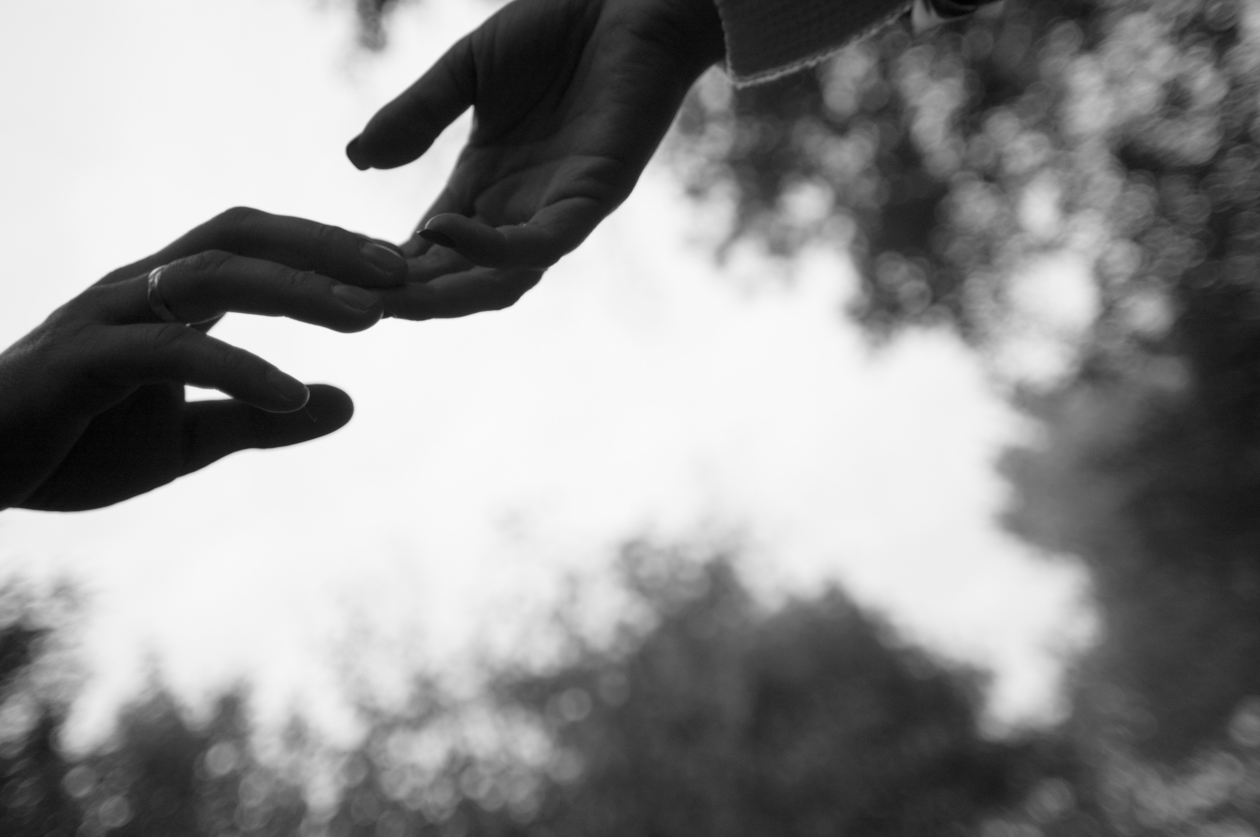 Максим и Люба. Свадебный фотограф в Москве Евгений Рыжов