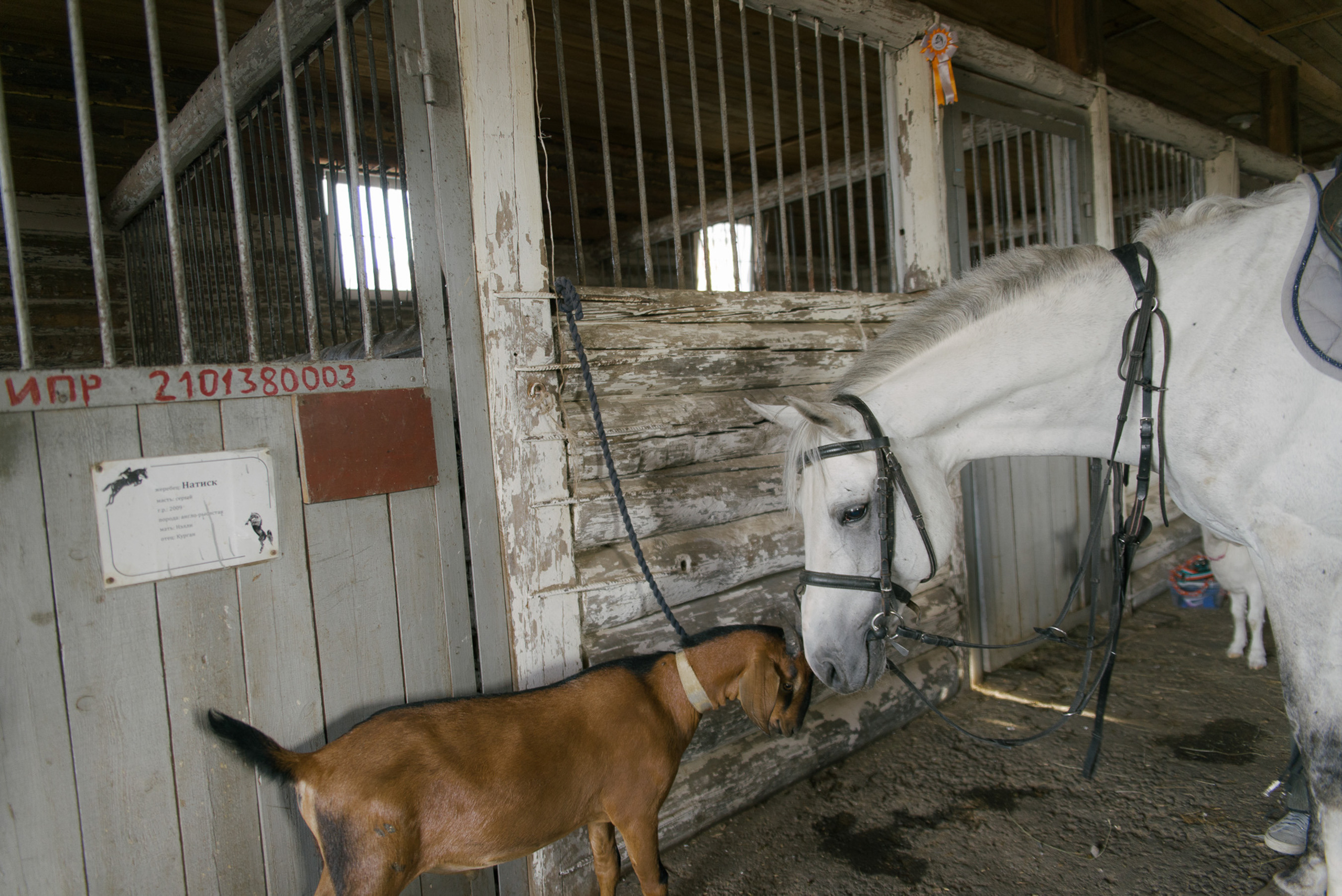 Женя, Мила и Арина. Свадебный фотограф в Москве Евгений Рыжов