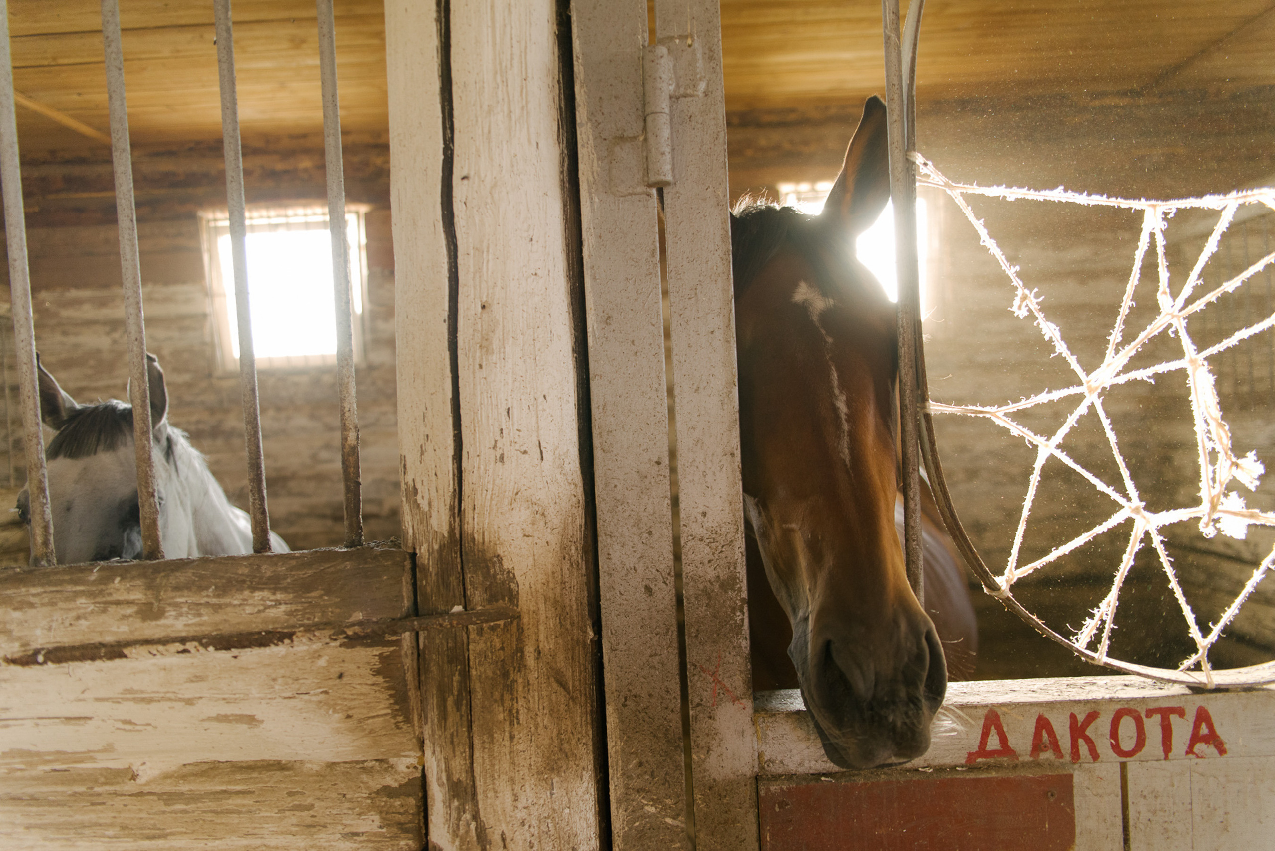 Женя, Мила и Арина. Свадебный фотограф в Москве Евгений Рыжов