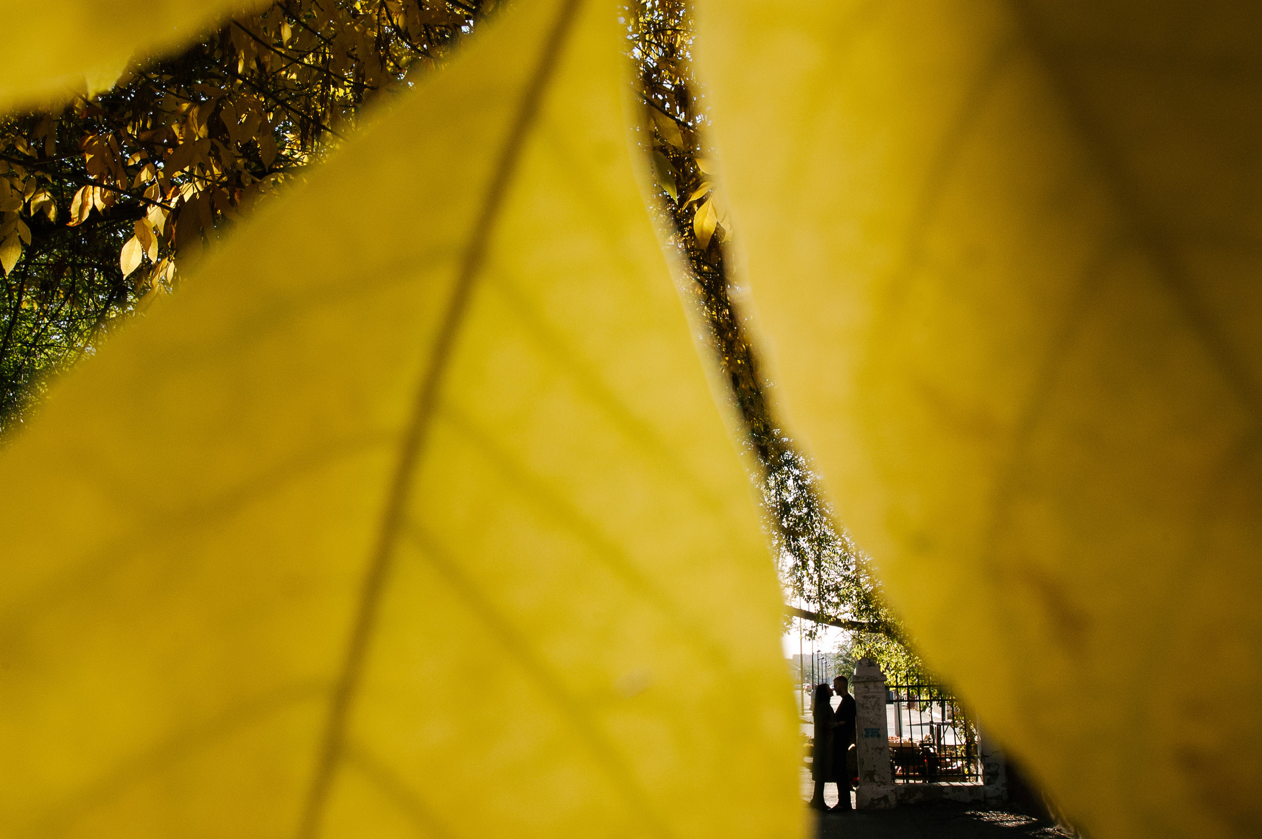 Слава и Лиза. Свадебный фотограф в Москве Евгений Рыжов