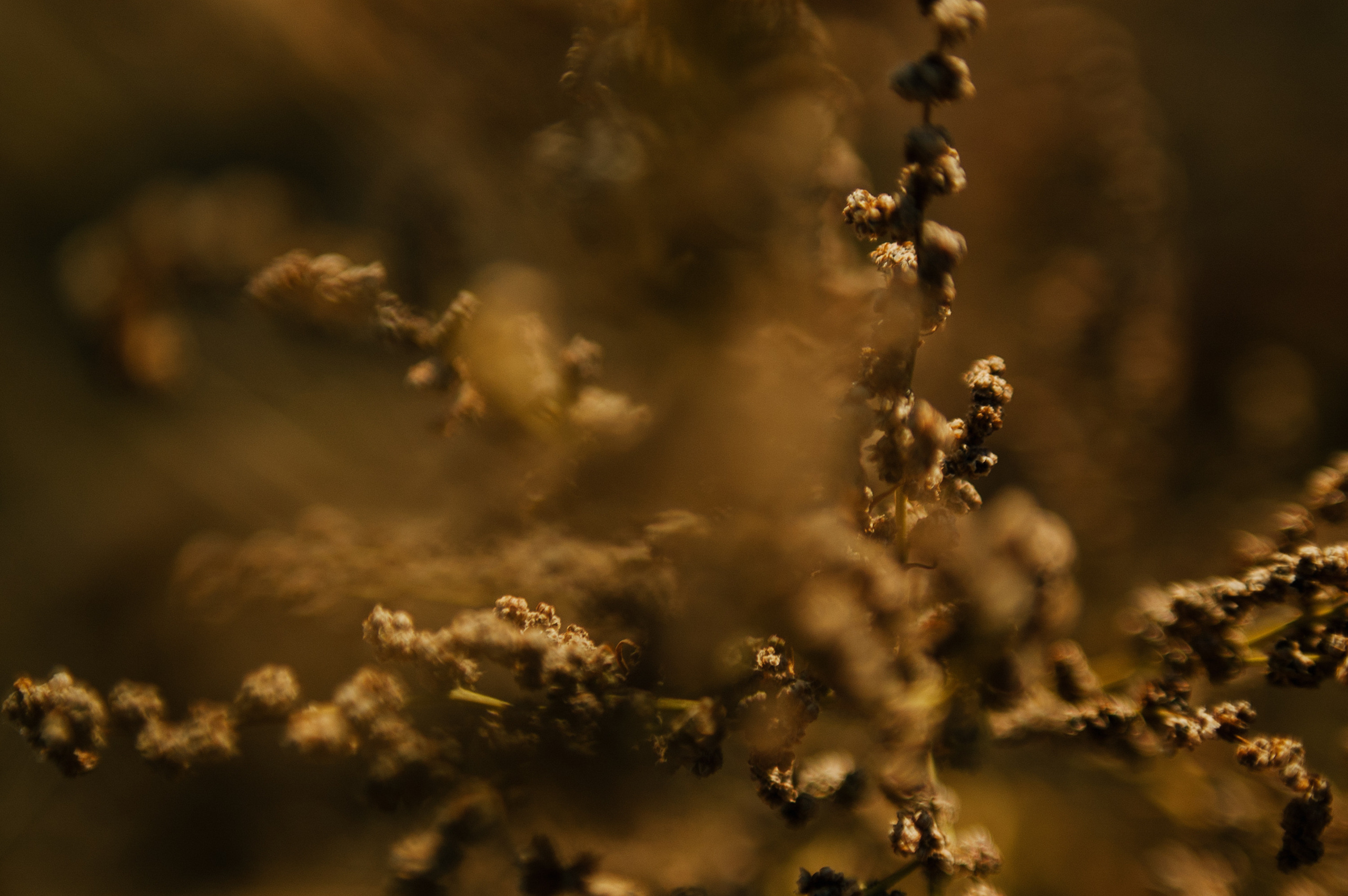 Костя и Маша. Свадебный фотограф в Москве Евгений Рыжов