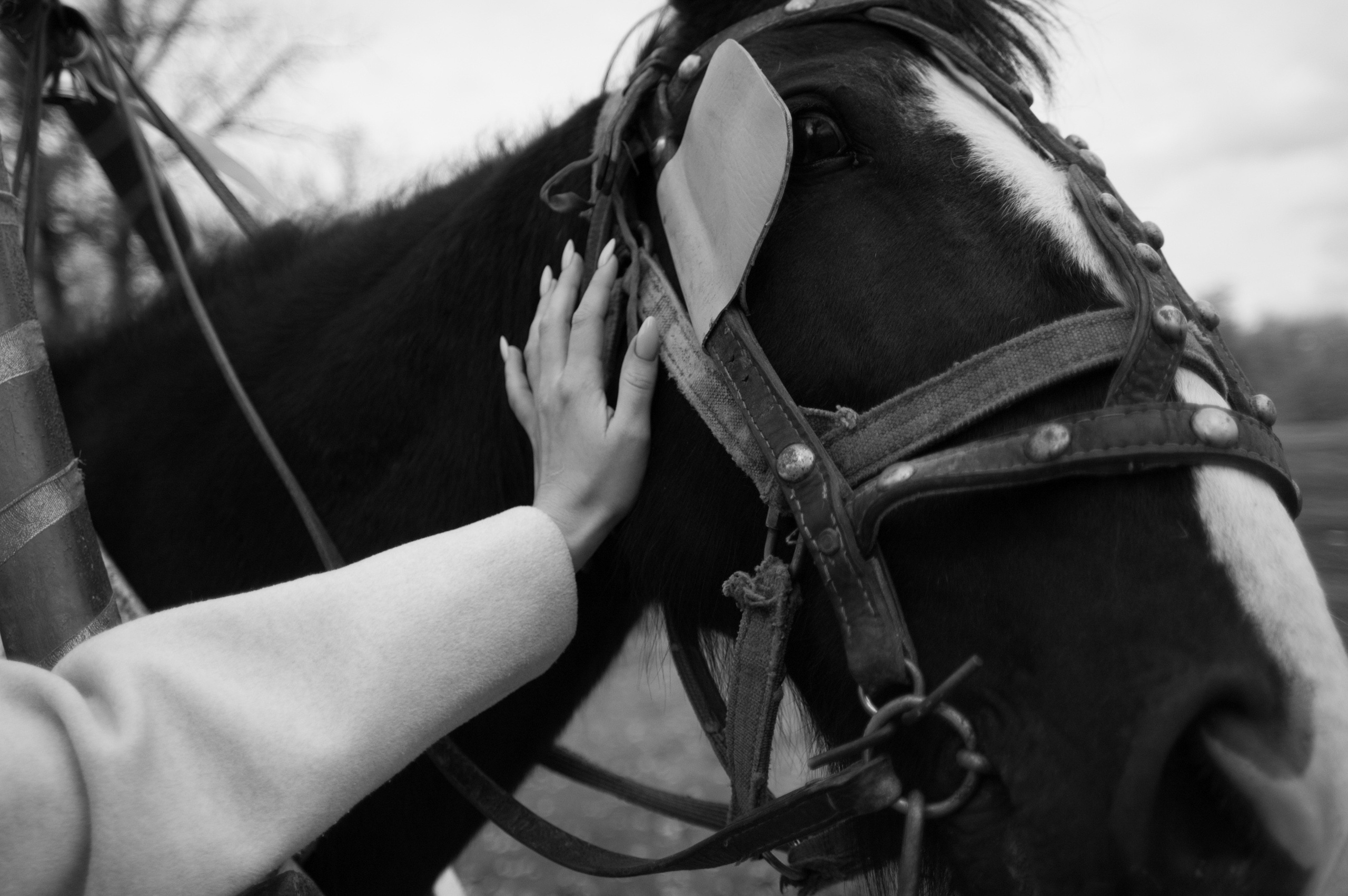 Саша и Даша. Свадебный фотограф в Москве Евгений Рыжов