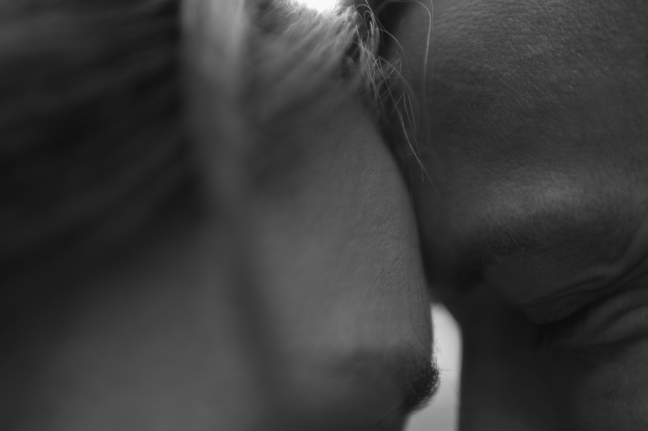 Максим и Люба. Свадебный фотограф в Москве Евгений Рыжов