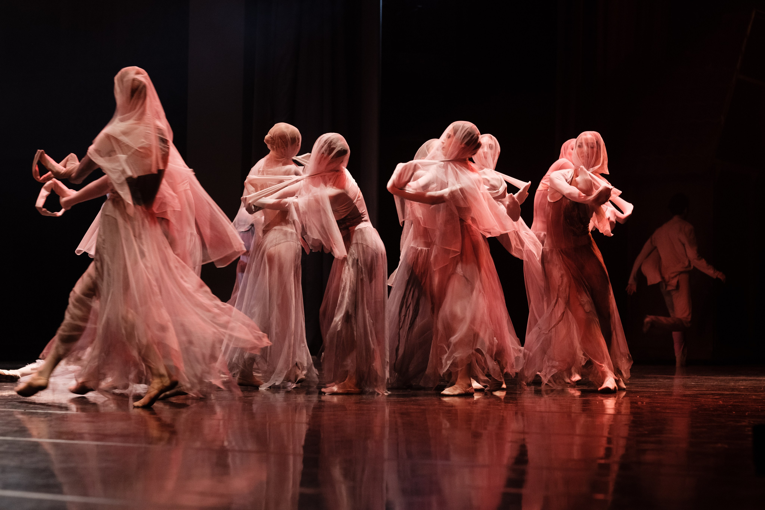 Балет. Портретный и репортажный фотограф в Алматы Поваляев Дмитрий