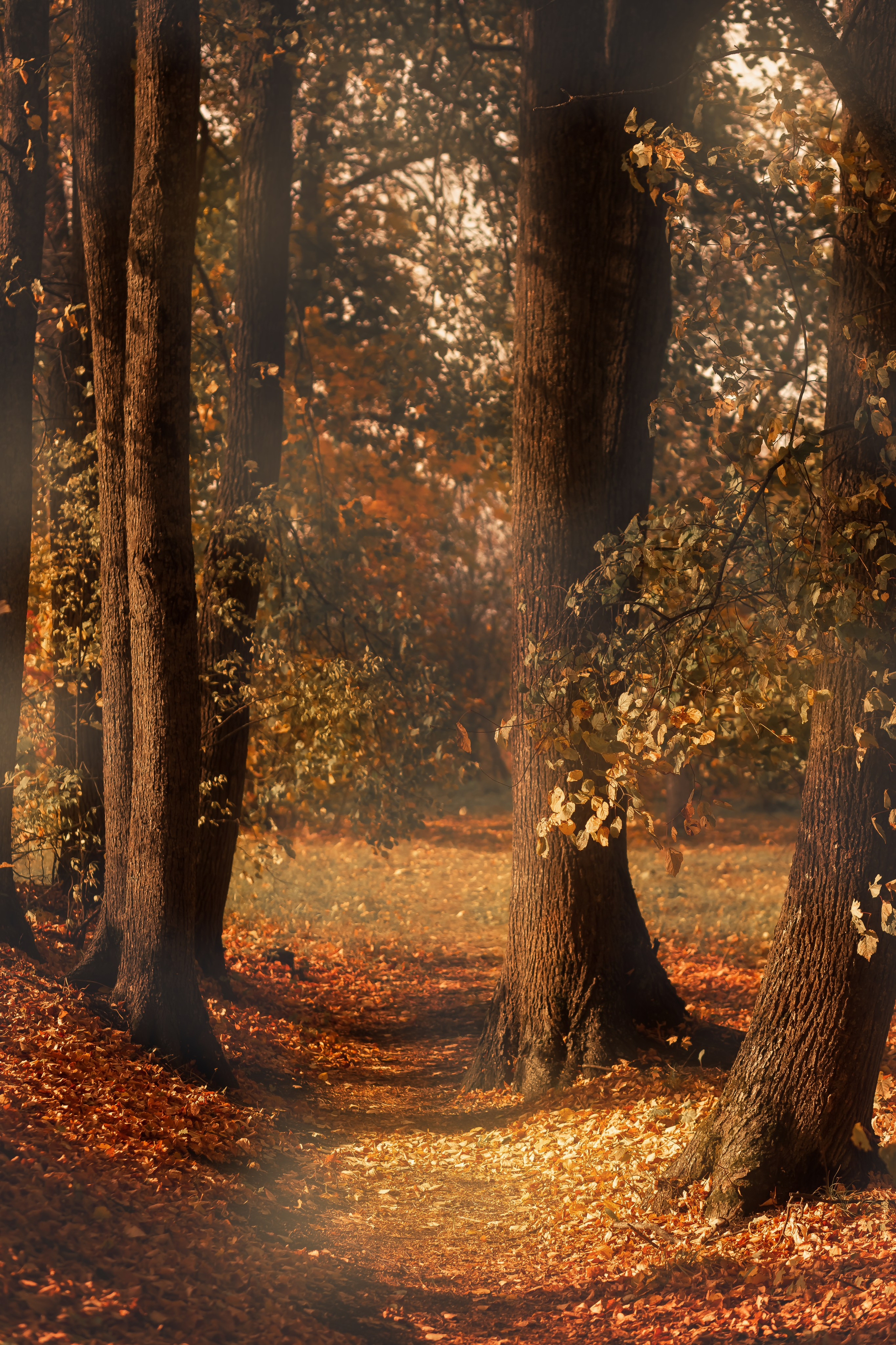 Тарханы. Съемка Таинств Крещения Венчания, детские и семейные съемки в Пензе