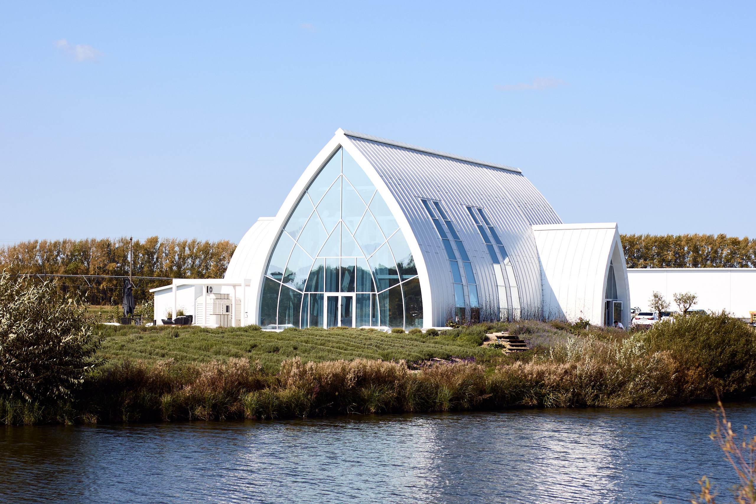 Александр и Карина. Свадебный и портретный фотограф в Воронеже Алёна Коренцова