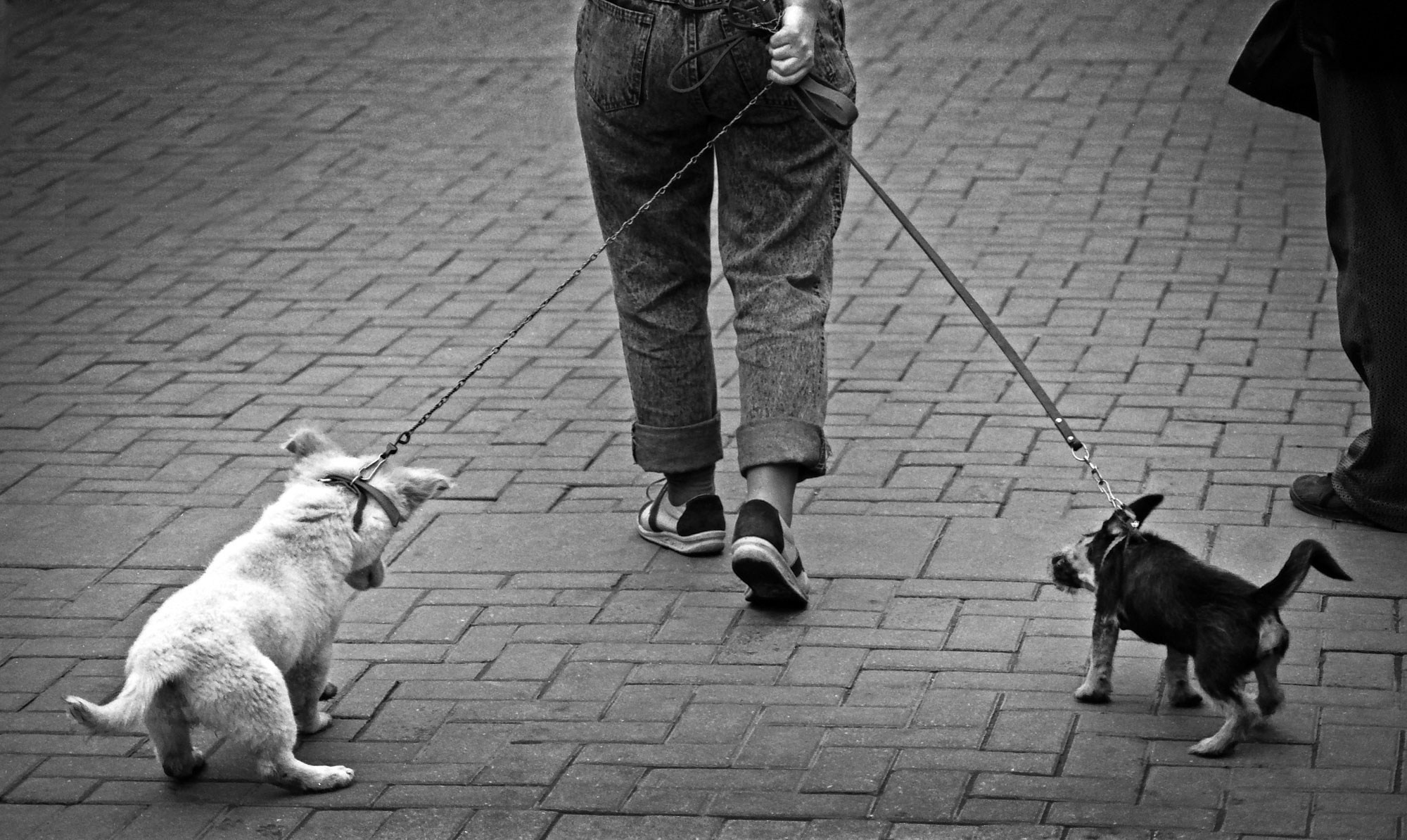 Свадебный фотограф в Геленджике