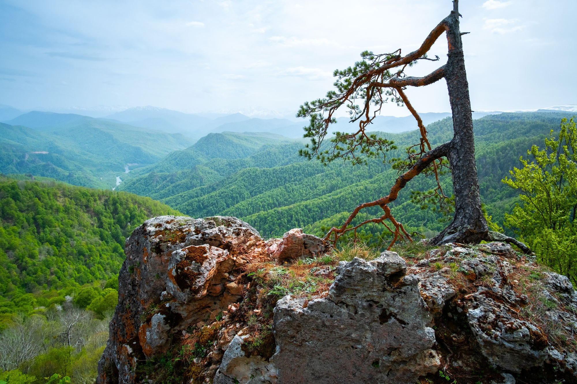 Свадебный фотограф в Геленджике