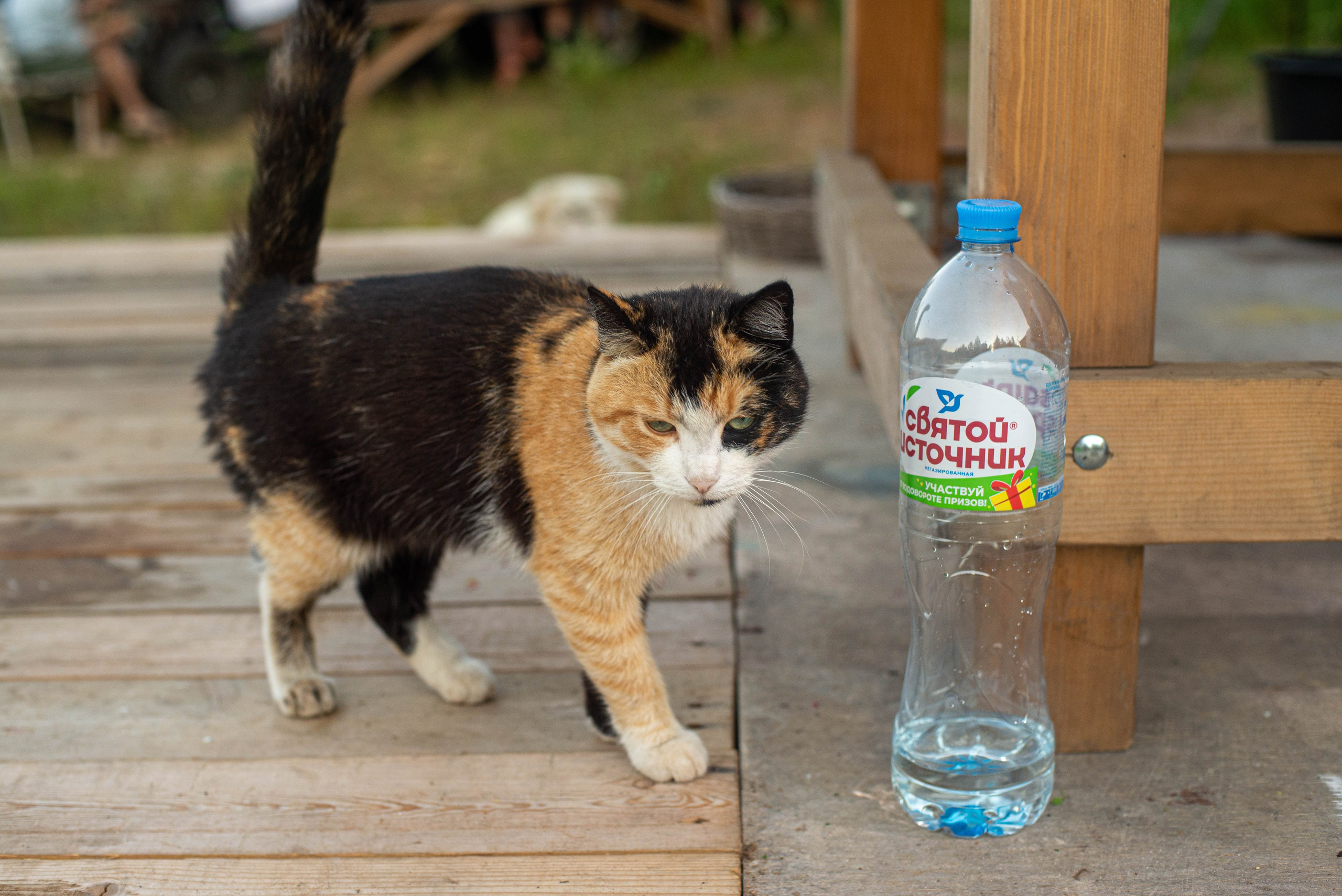 Репортажка. Гупалов Игорь — фотограф