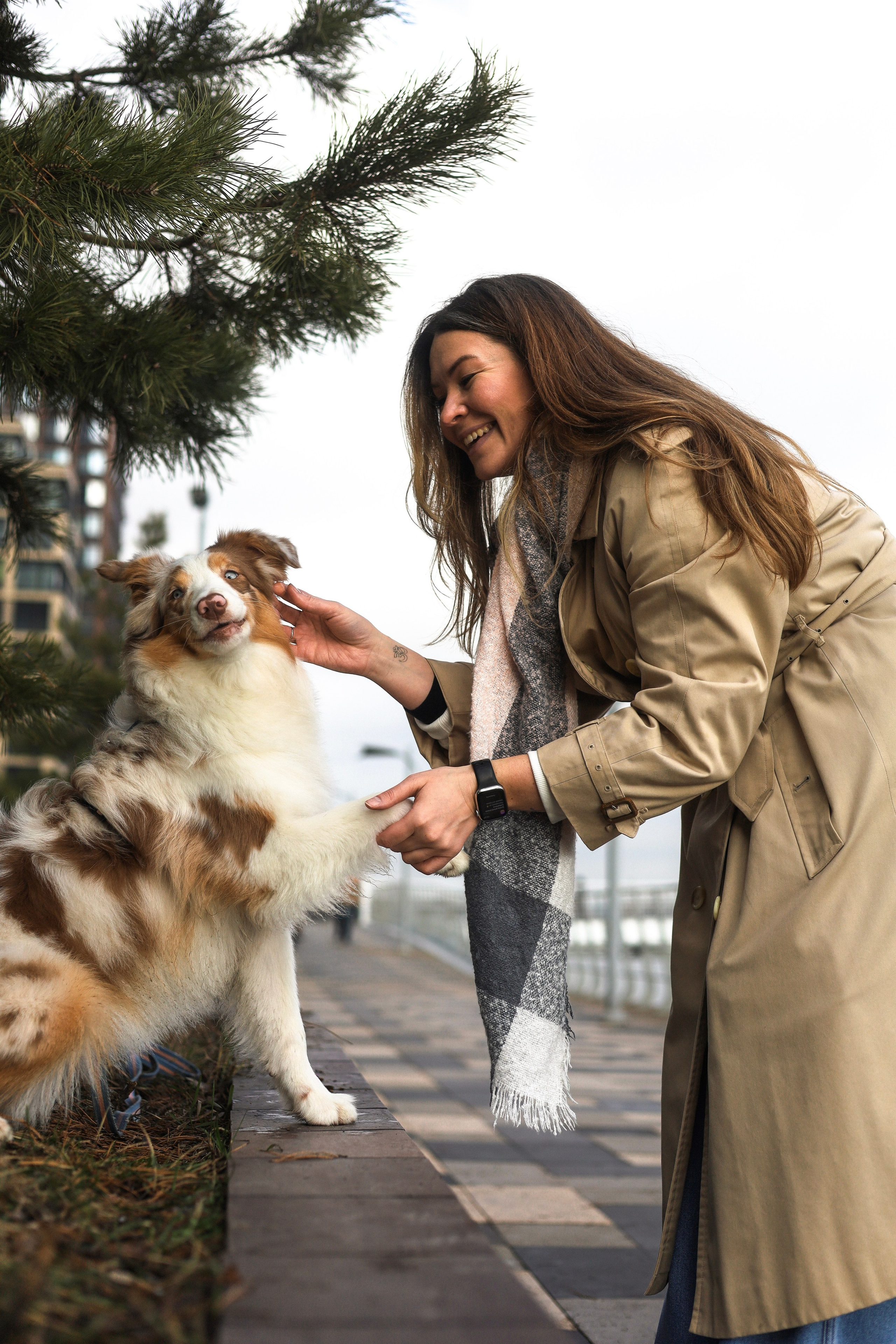 Бри и Яна. Фотограф-анималист Ксения Шевцова|Москва