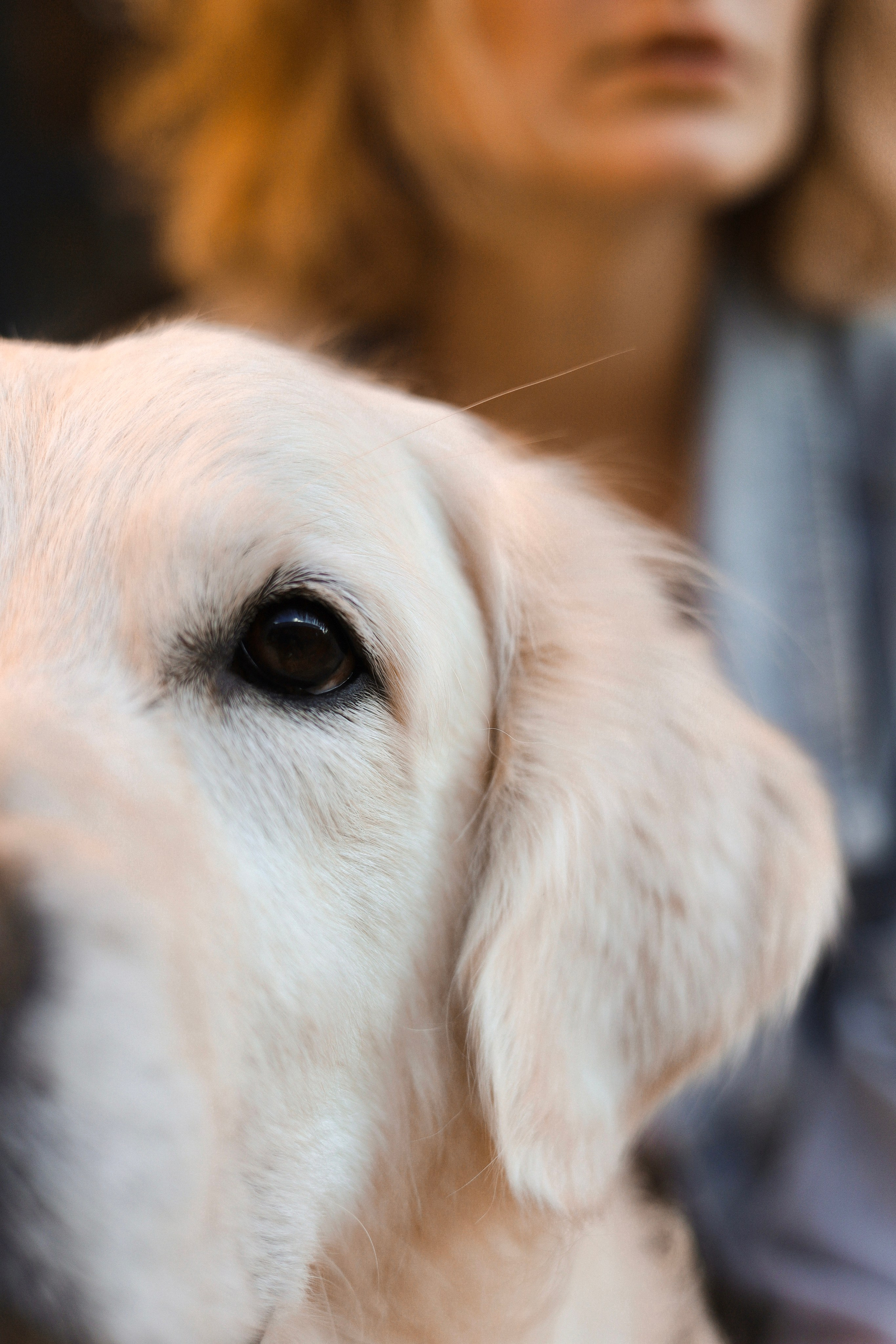 Зиз и Юля. Часть 3. Фотограф-анималист Ксения Шевцова|Москва