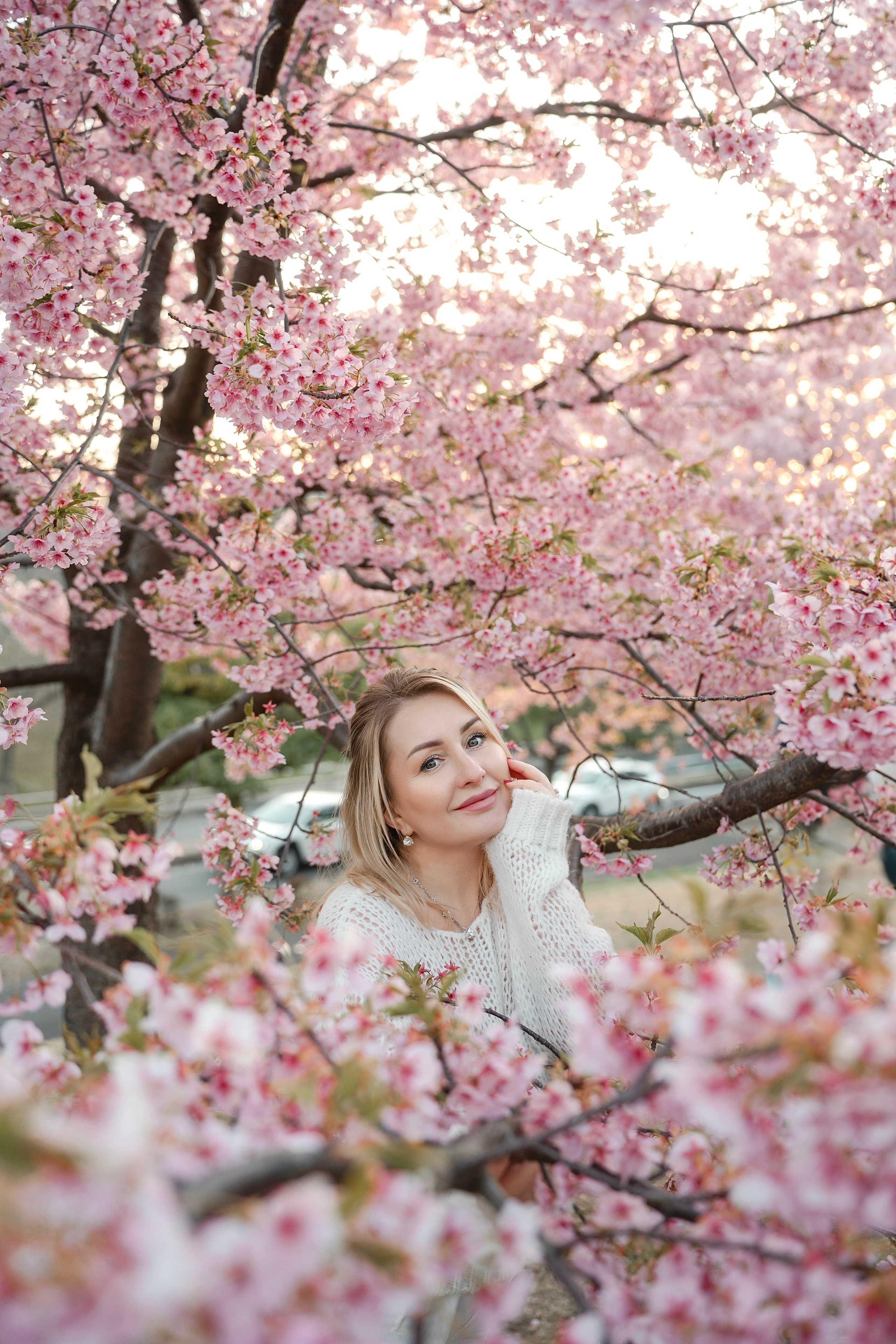 Sakura. Фотограф Алина Диева Москва | Токио