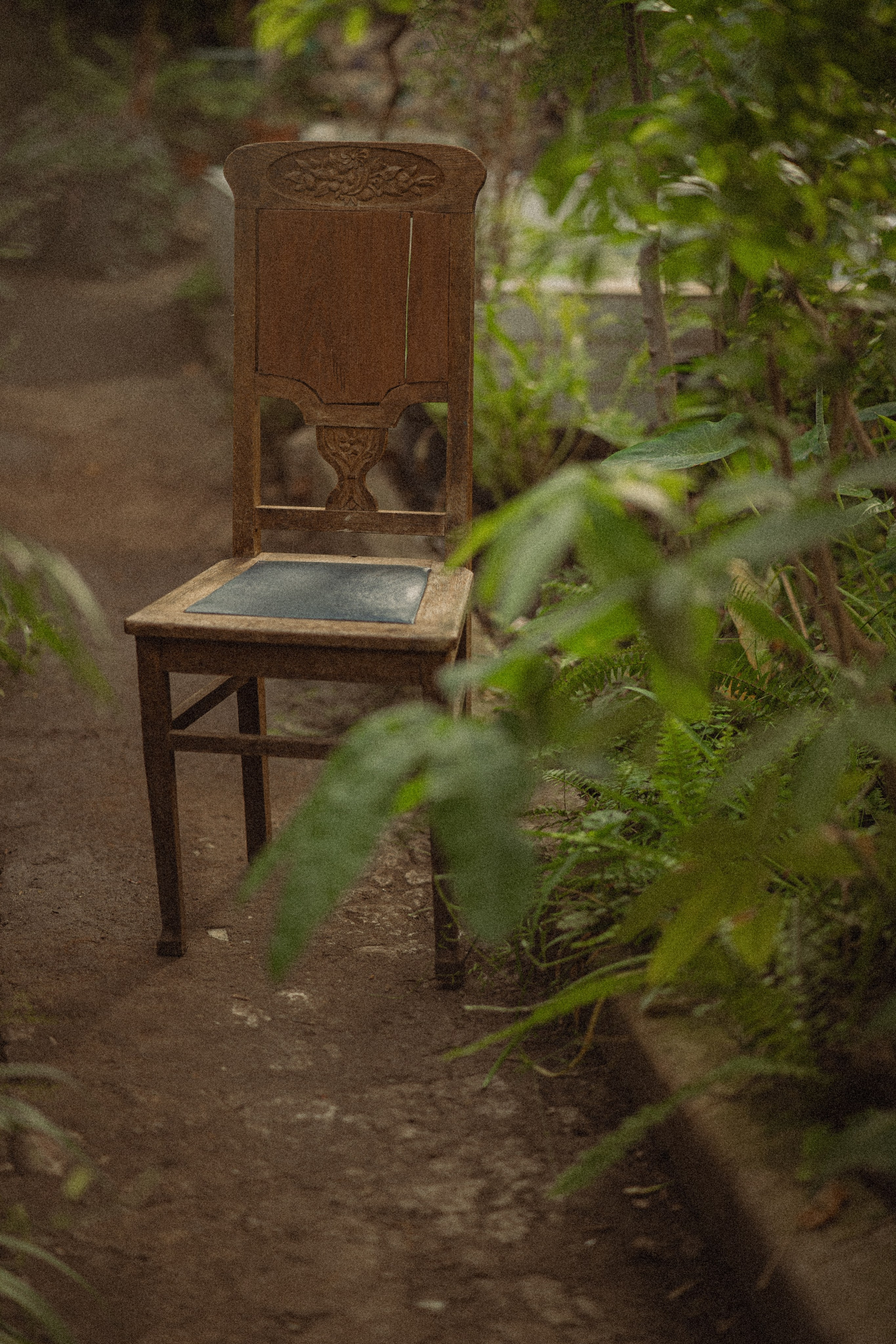 Ботанический сад. Фотограф Мария Зайчик