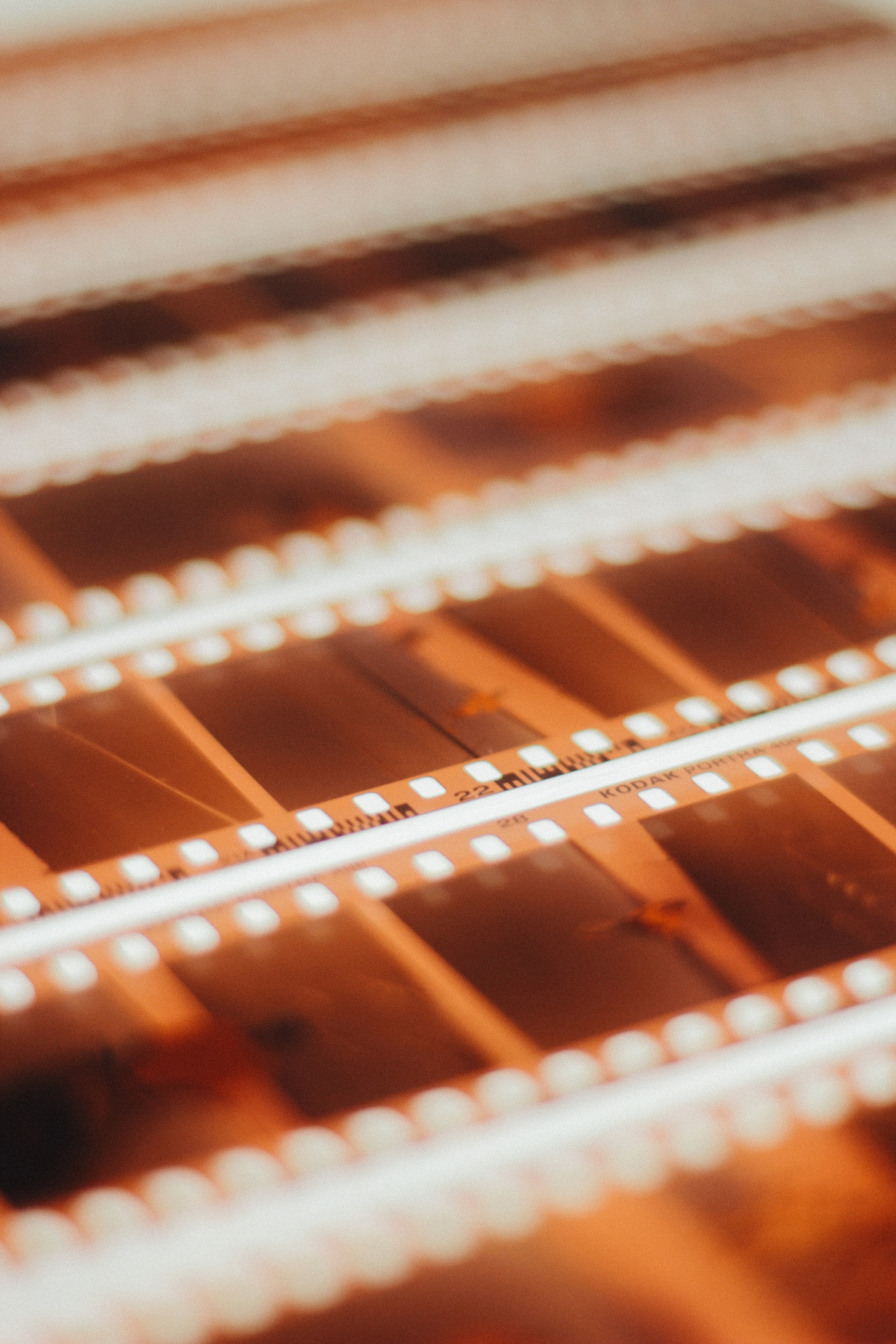 DPI film lab. Света Голобородько, фудфотограф в Санкт-Петербурге