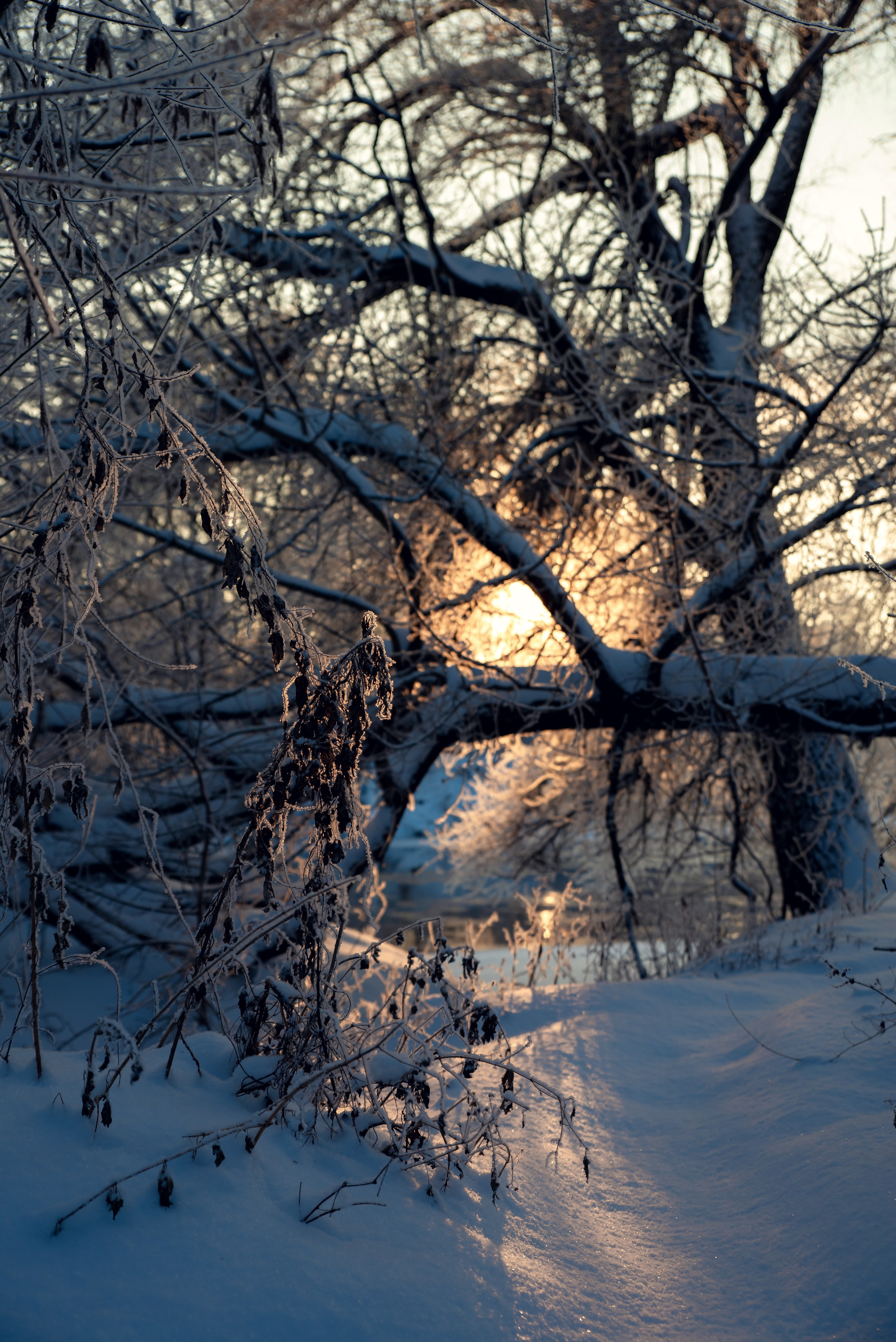 Зимушка зима. Фотограф Крещение Венчание Москва
