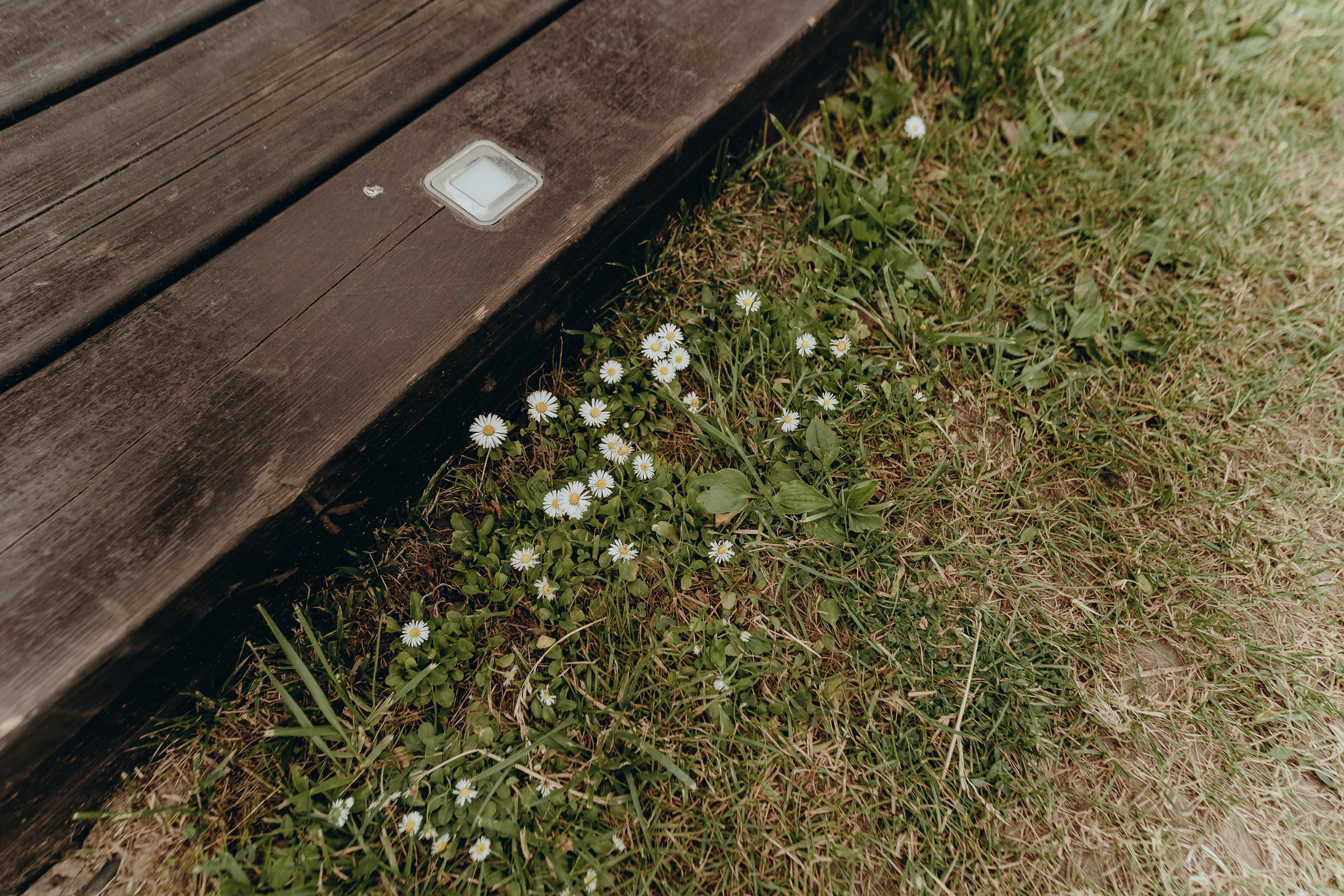 ECSTATIC WHITE 2025. Фотограф Аннё| Москва