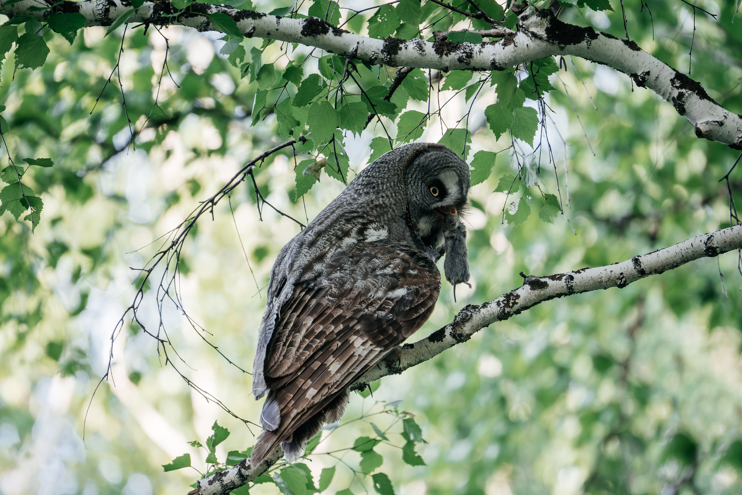 Отзывы. Спортивный и пейзажный фотограф в Барнауле Руслан Нигматуллин