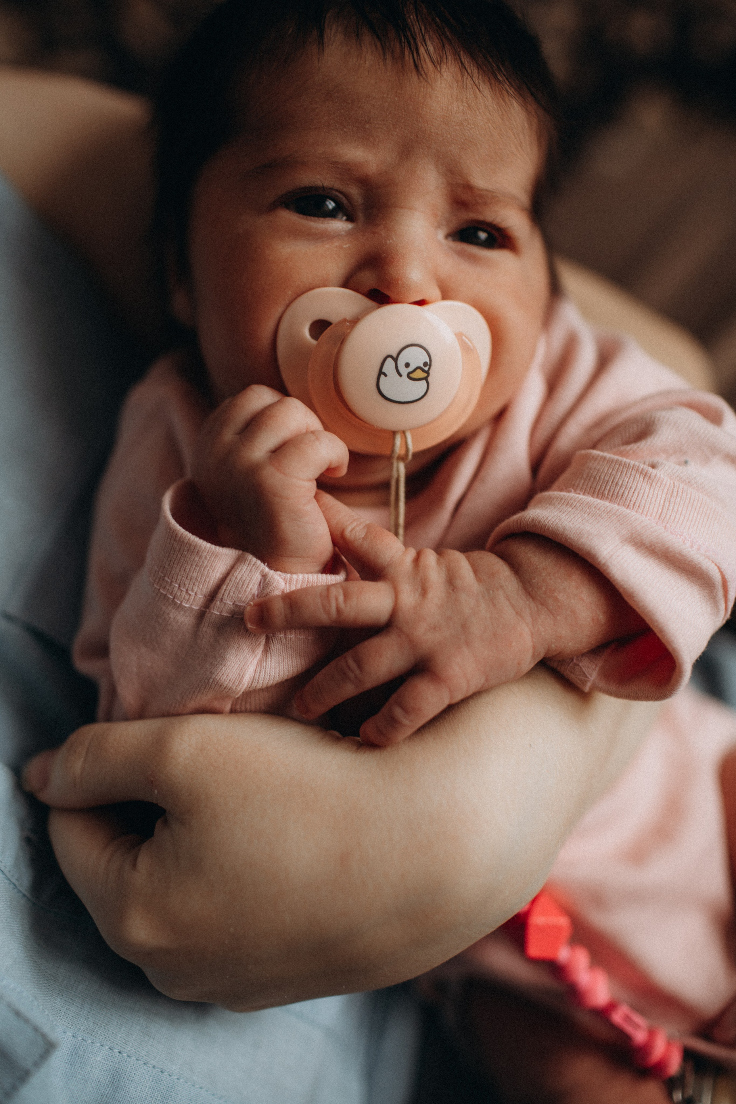 Полина. Семейный фотограф в Челябинске Ксения Зубкова