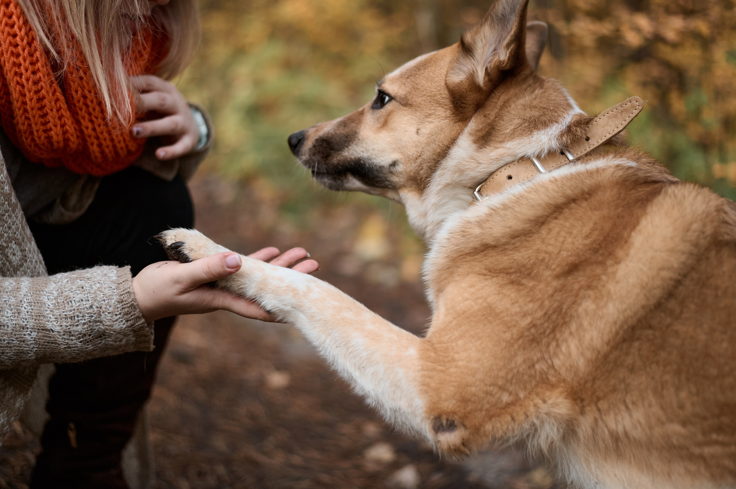 Катя и Найда. Женский фотограф в Череповце Даша Акулич