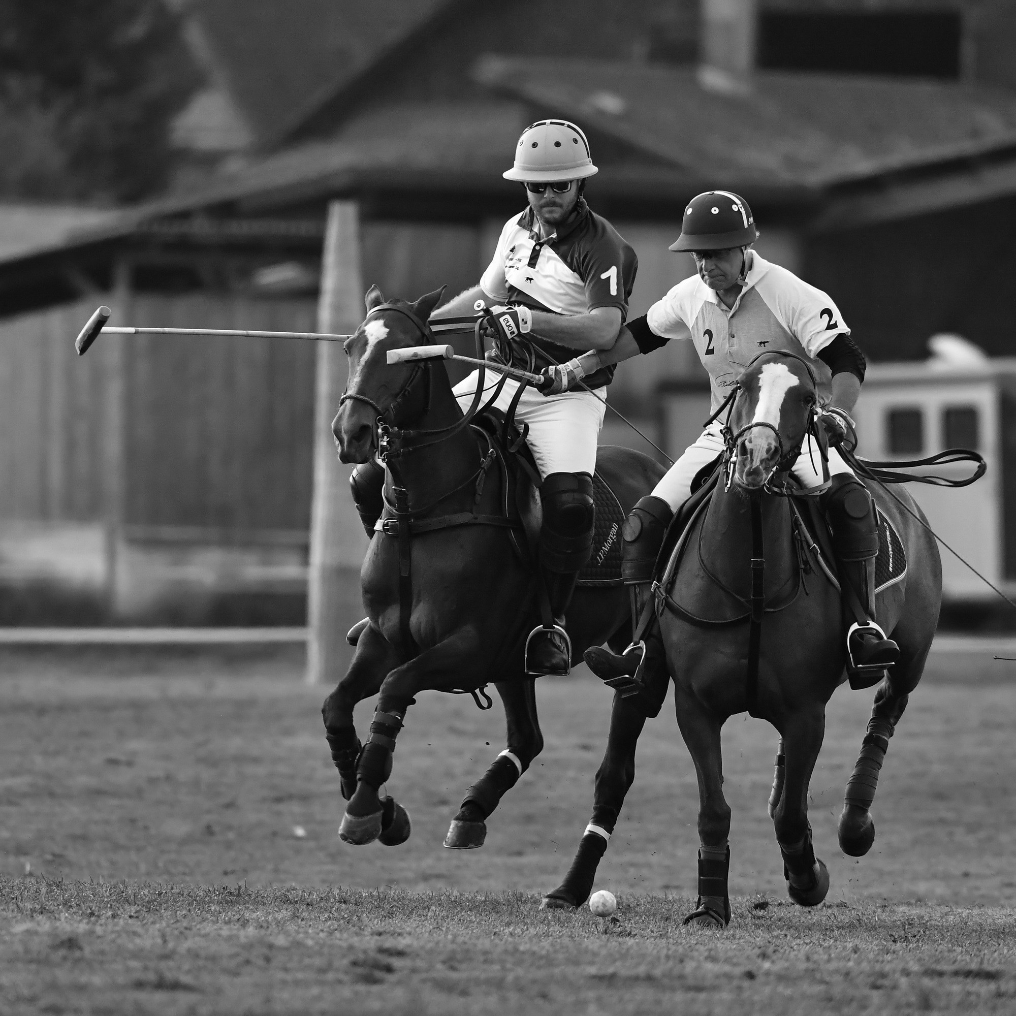 Polo art photos. Art photos of horses — ARTUR BABOEV | Photographer