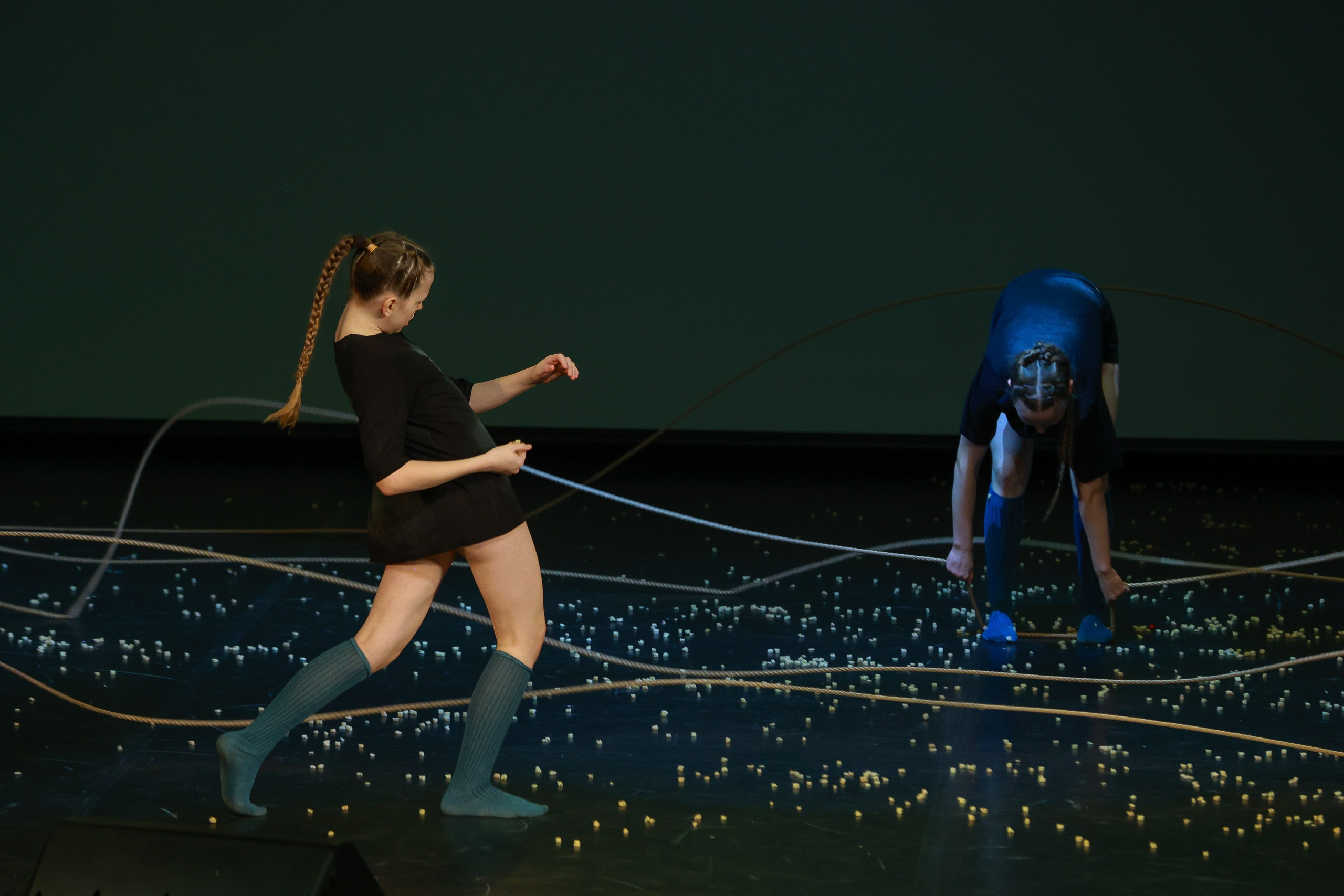 Небесные ласточки на Танц ЭКСПО 2026. Фотограф Юлия Мальцева