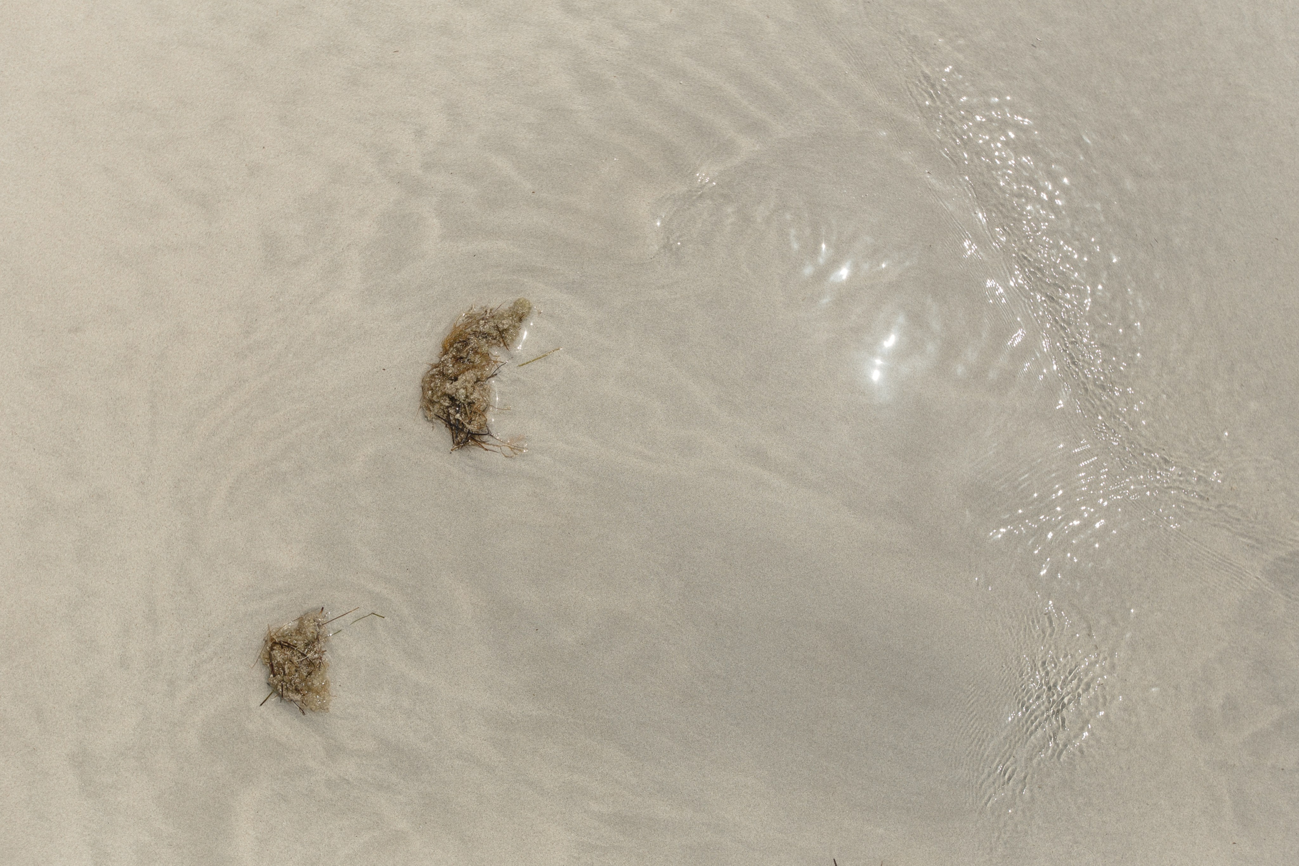 Пляж. Valery Litvinova Photography