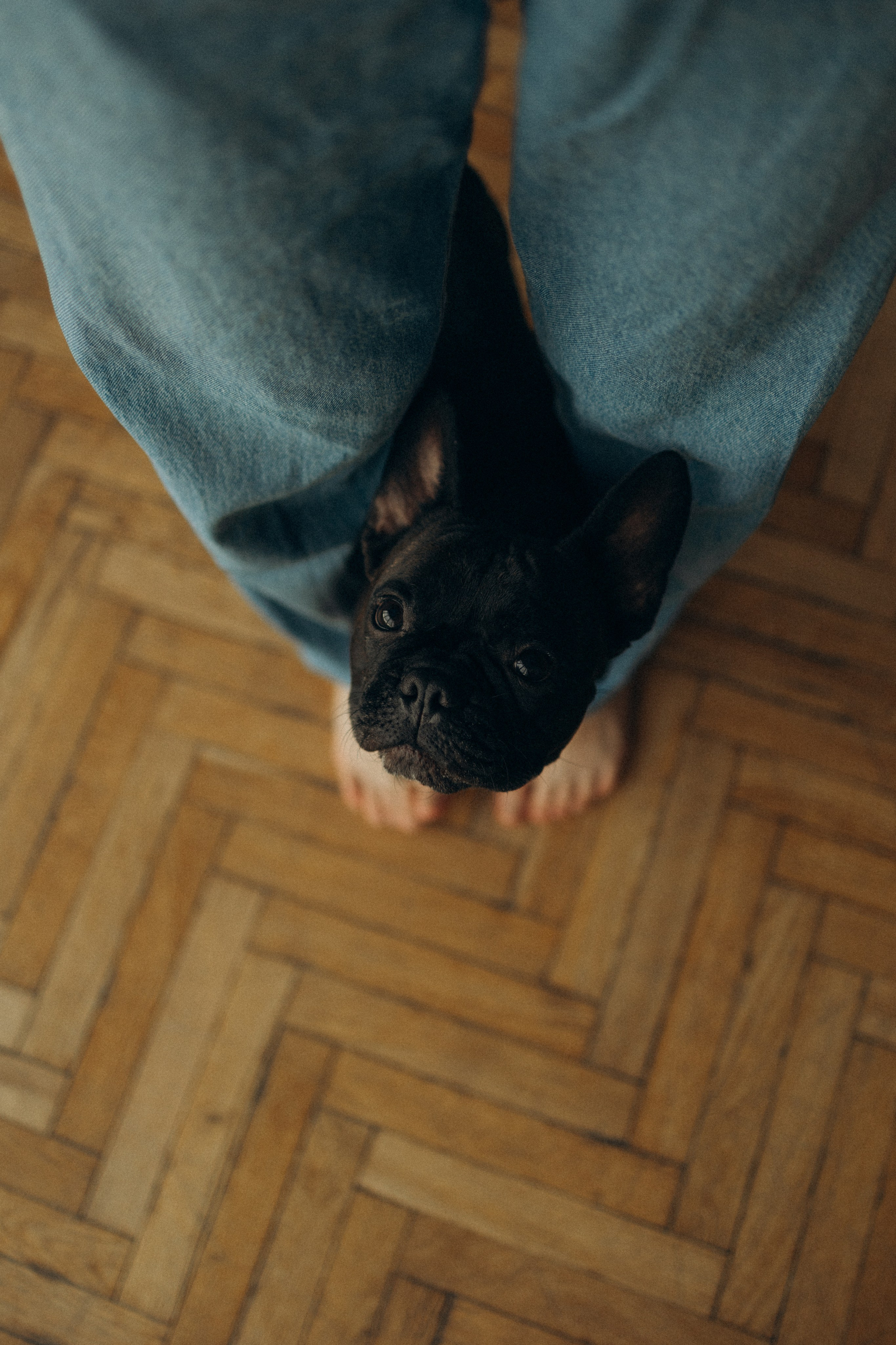 Алина и Луи. Фотораф — анималист Мария Шистка