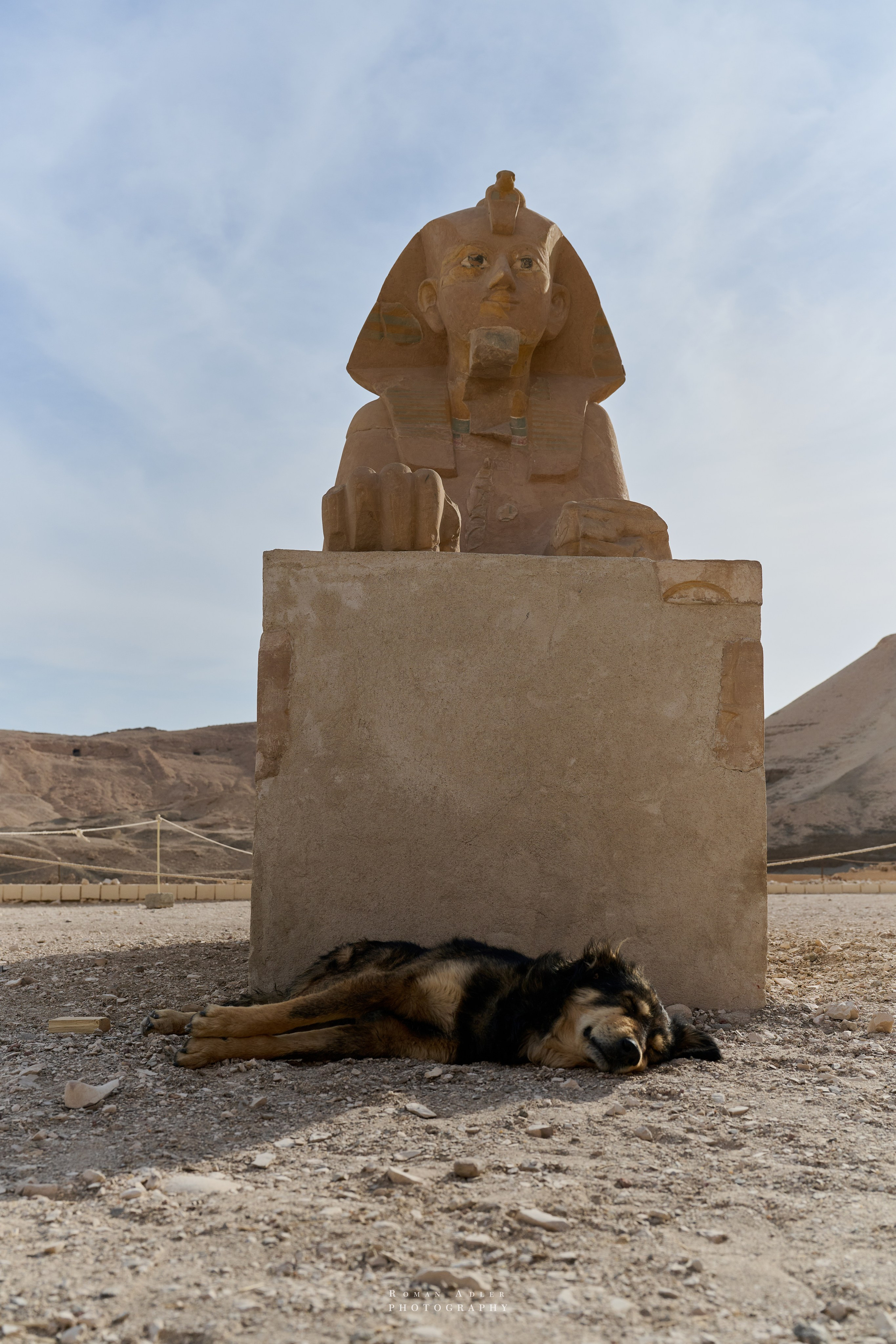 Луксор. Февраль 2025. Фотограф Роман Адлер