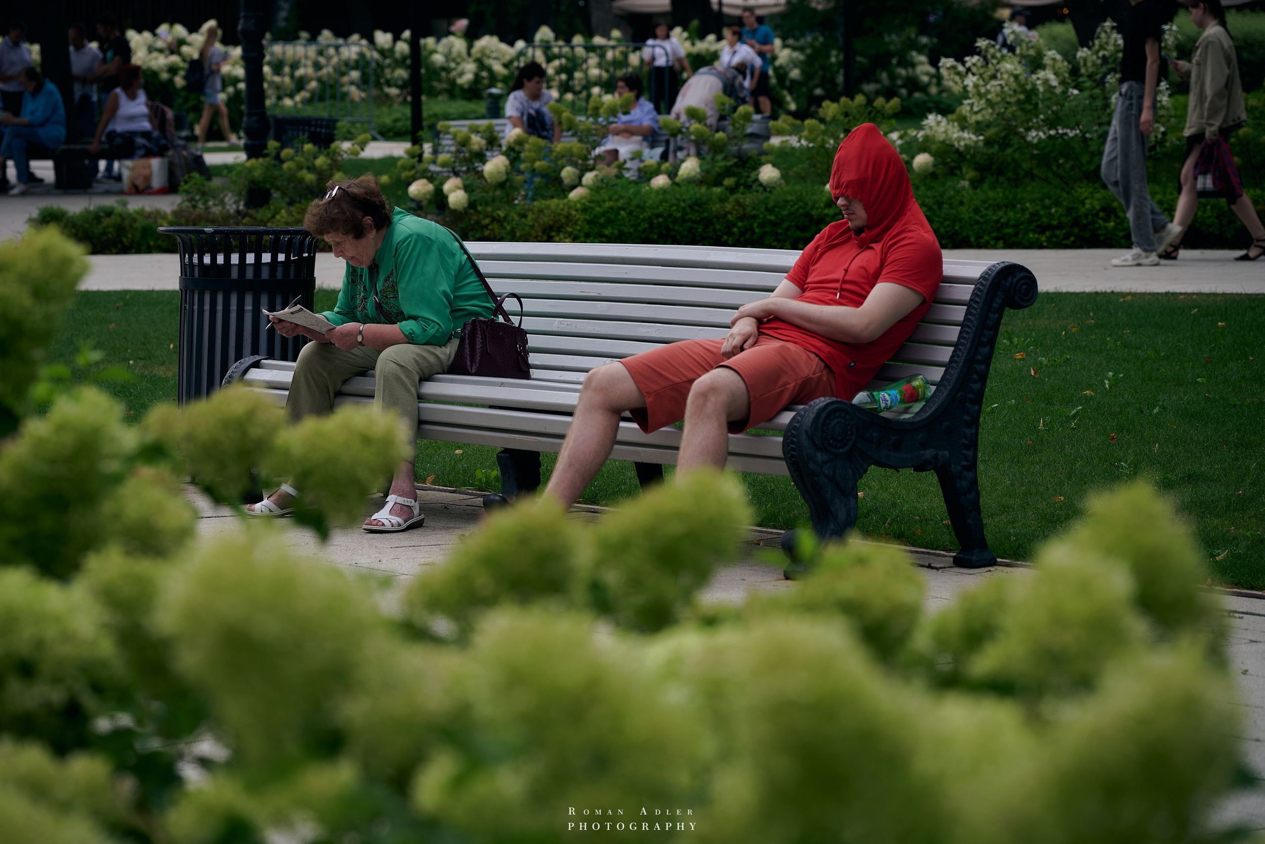 Воронеж. Август 2024. Фотограф Роман Адлер