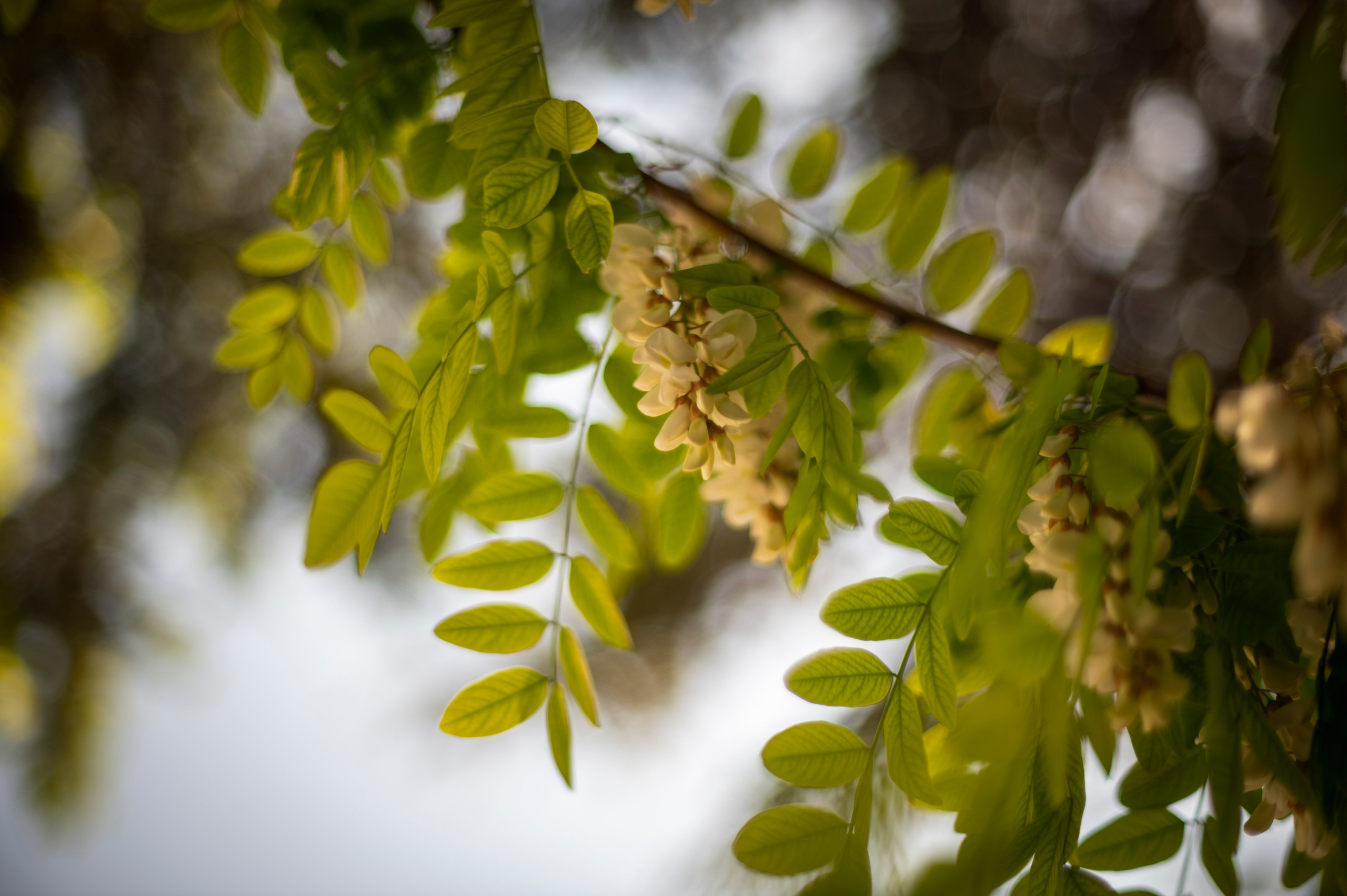 Крым май 2022. Фотограф Роман Адлер