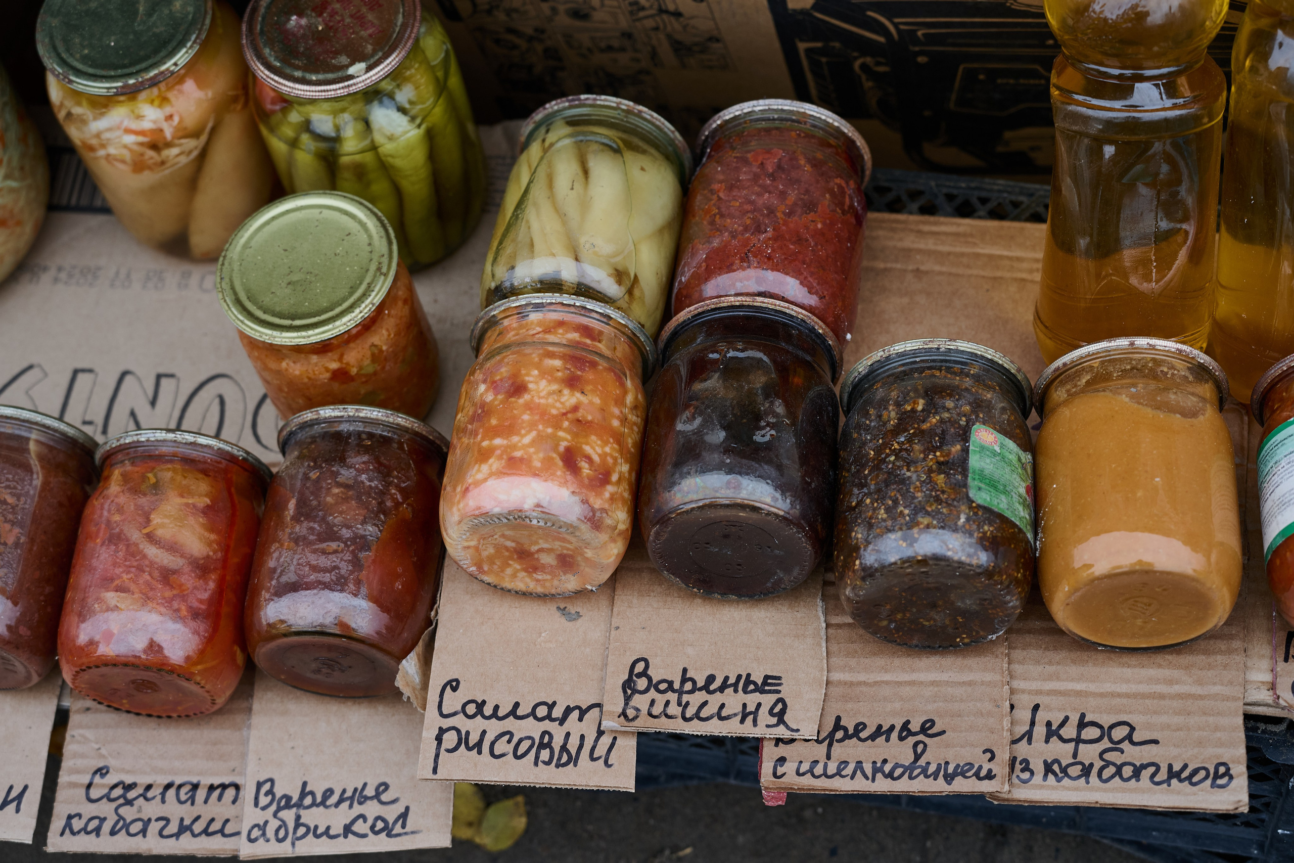 Рубежное. Ноябрь 2024. Фотограф Роман Адлер