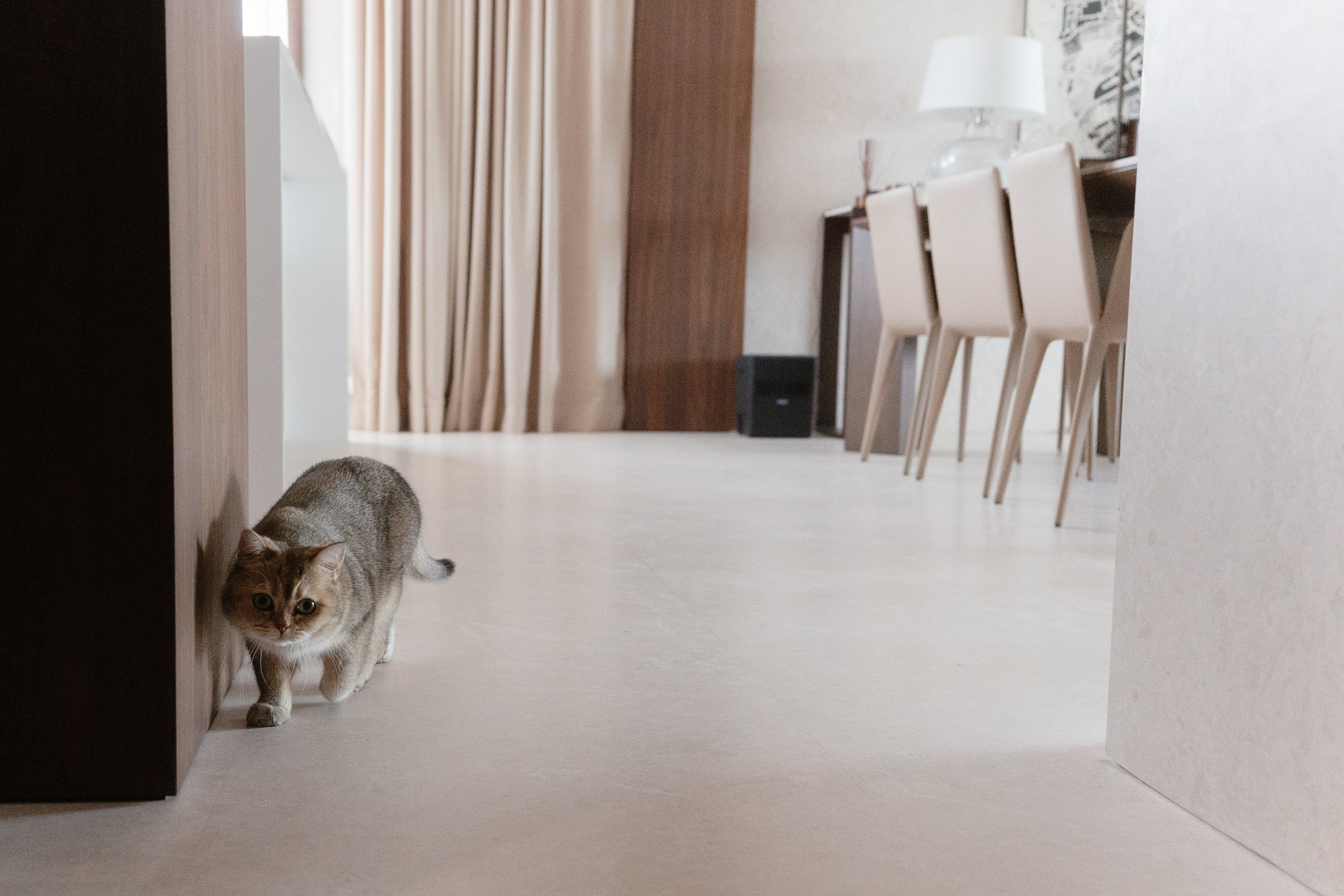 Иван и кристина