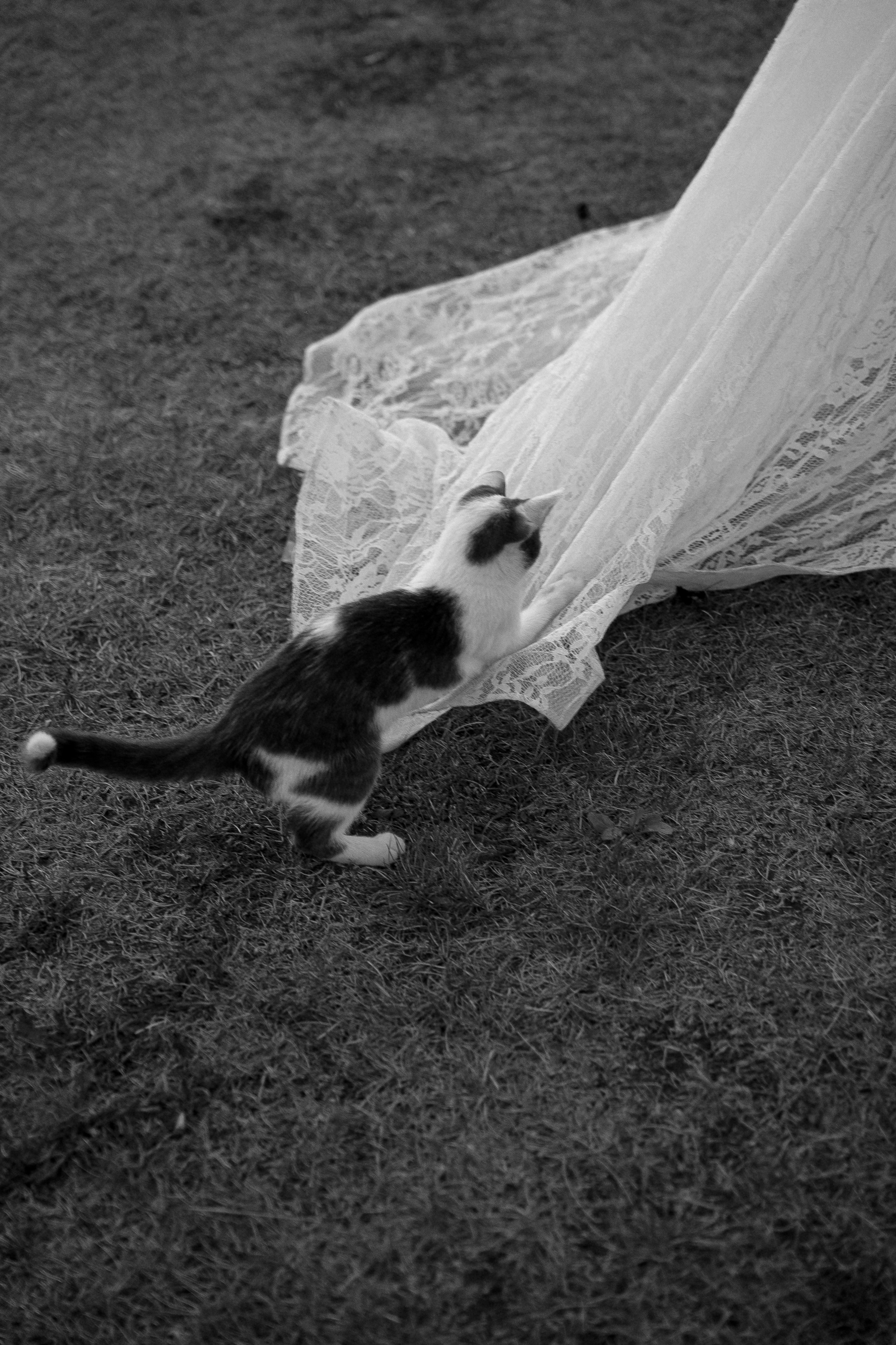 Nastya+Sasha/Anons. Семейный и портретный фотограф в Саратове Сахарова Маша