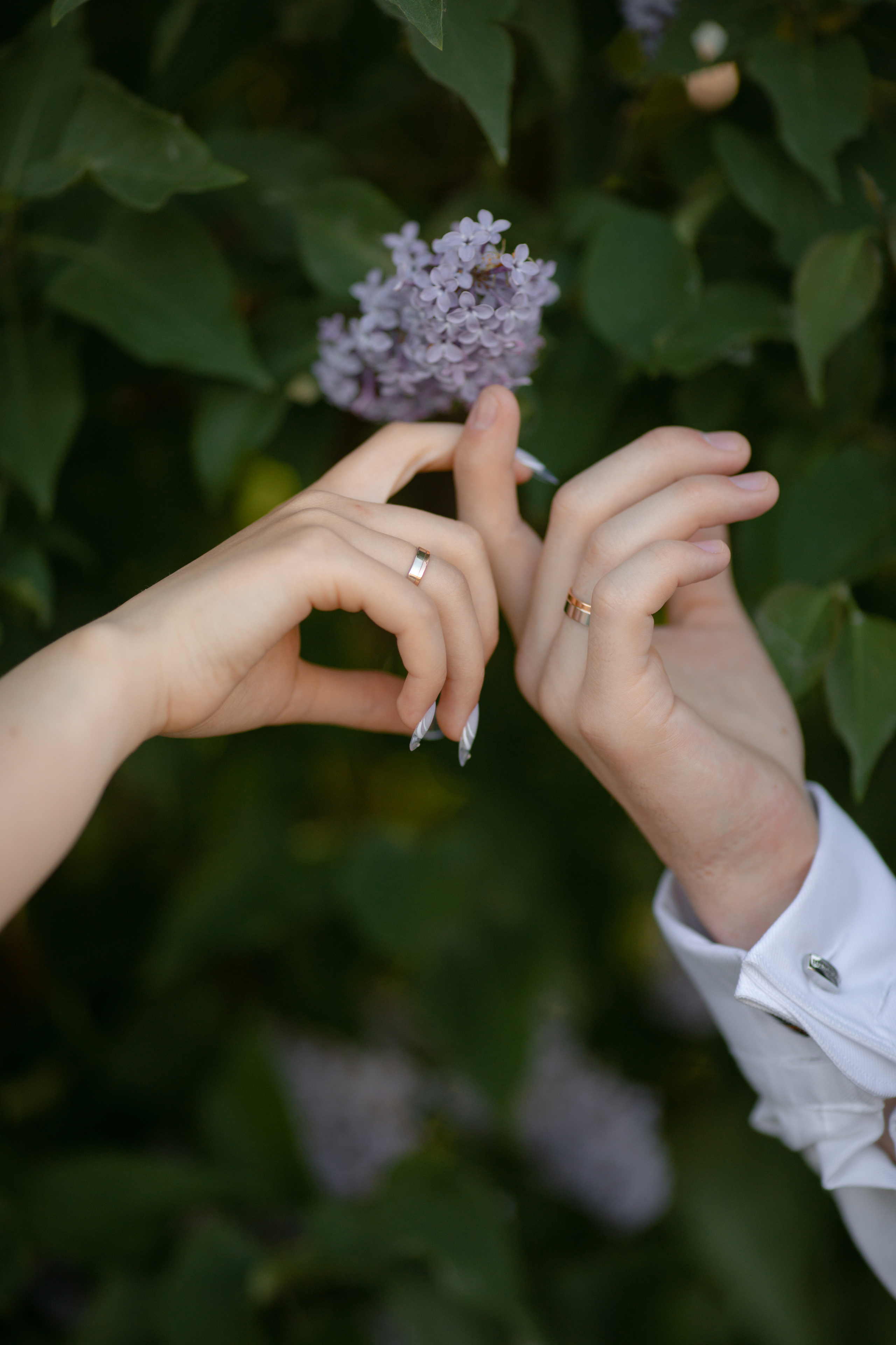 Олег & Евгения. Фотограф Смелова Ирина Кострома