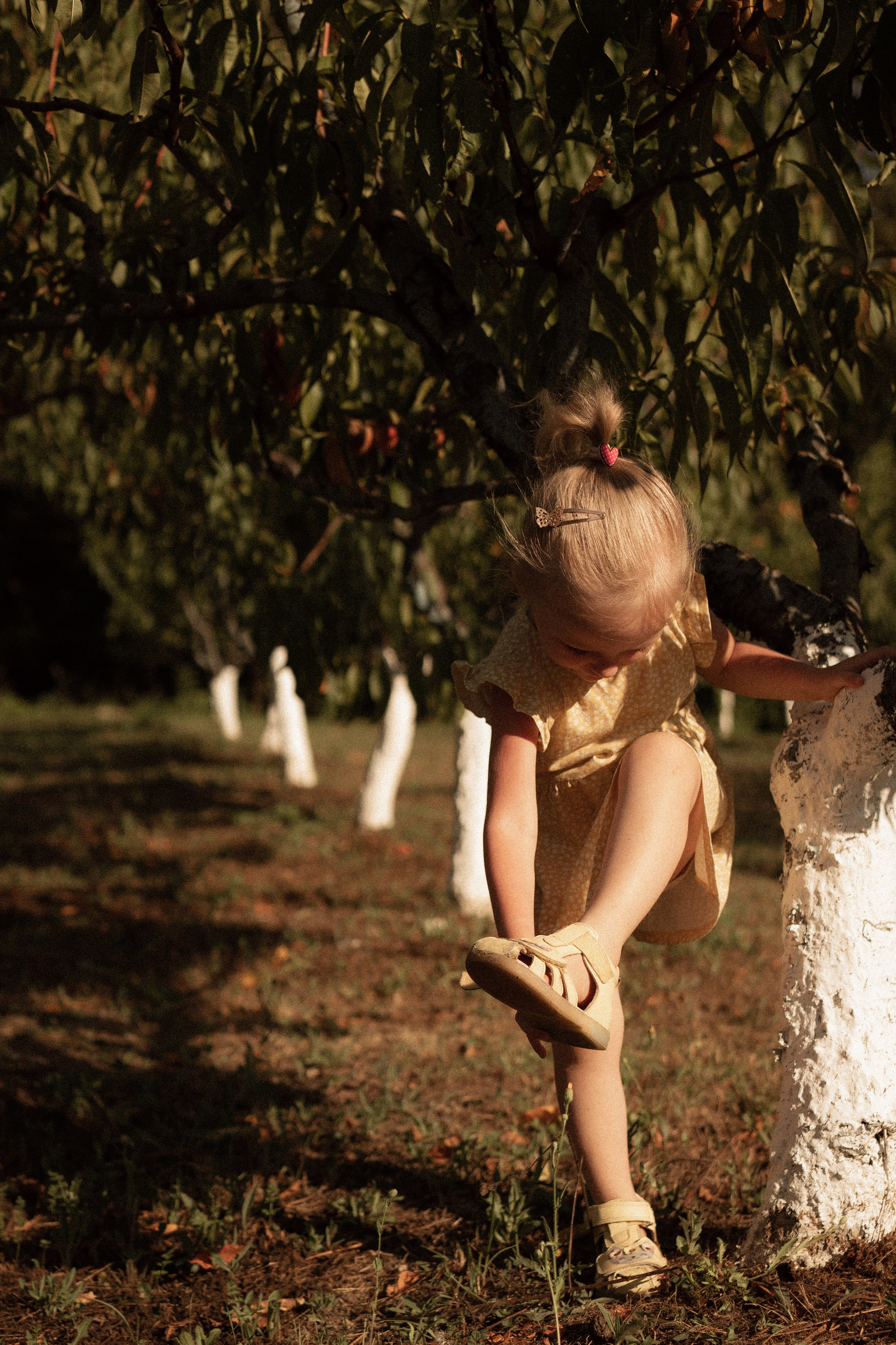 Наташа. Дмитриева Светлана женский и семейный фотограф Рига, Москва, Геленджик