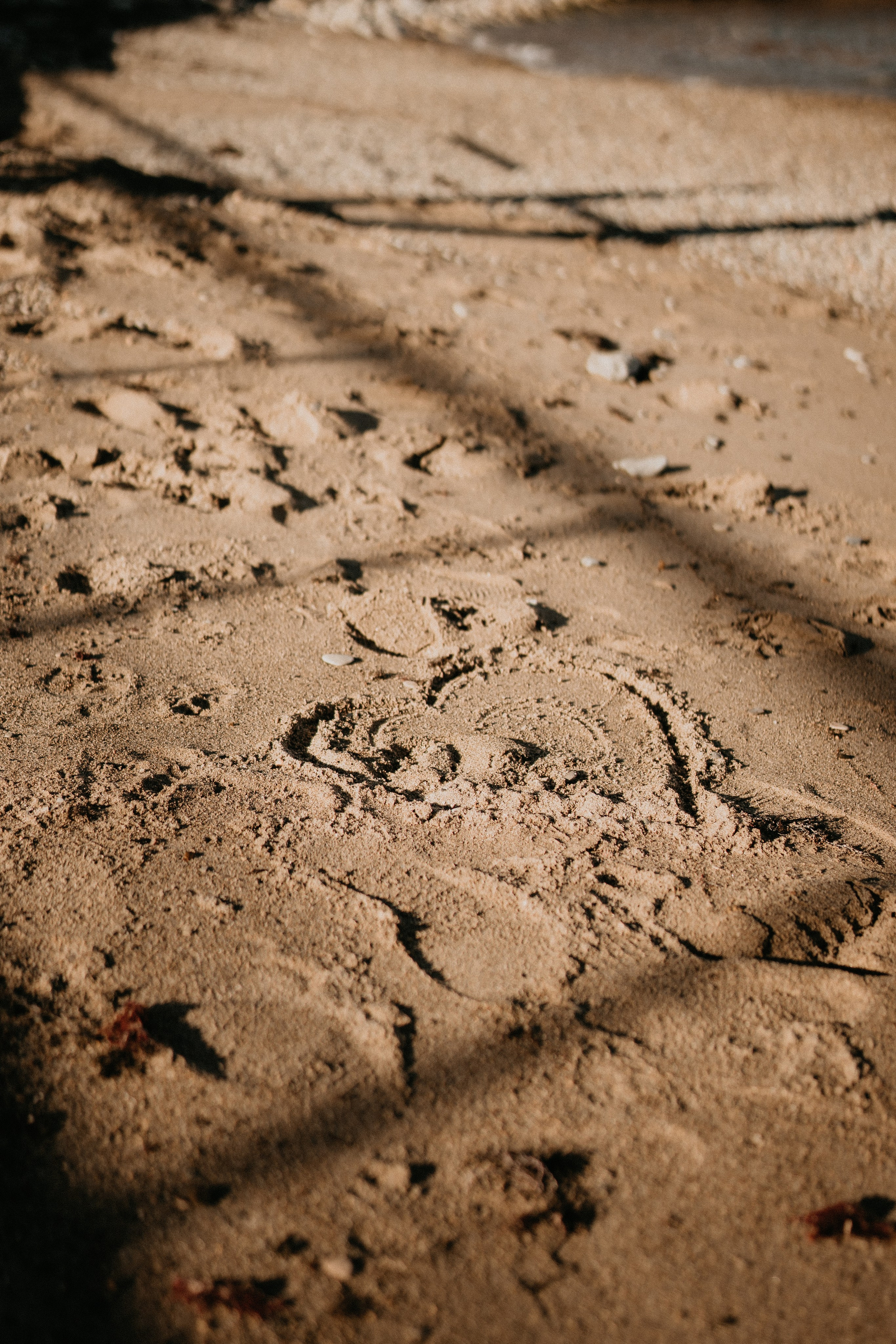 Мария. Дмитриева Светлана женский и семейный фотограф Рига, Москва, Геленджик