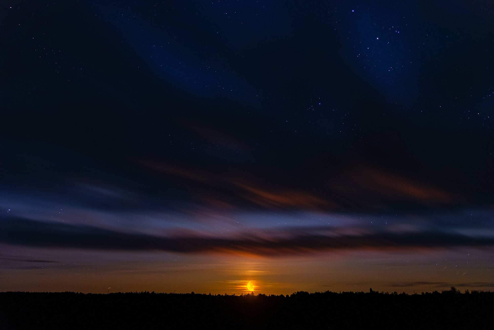 Попкова Виктория фотограф