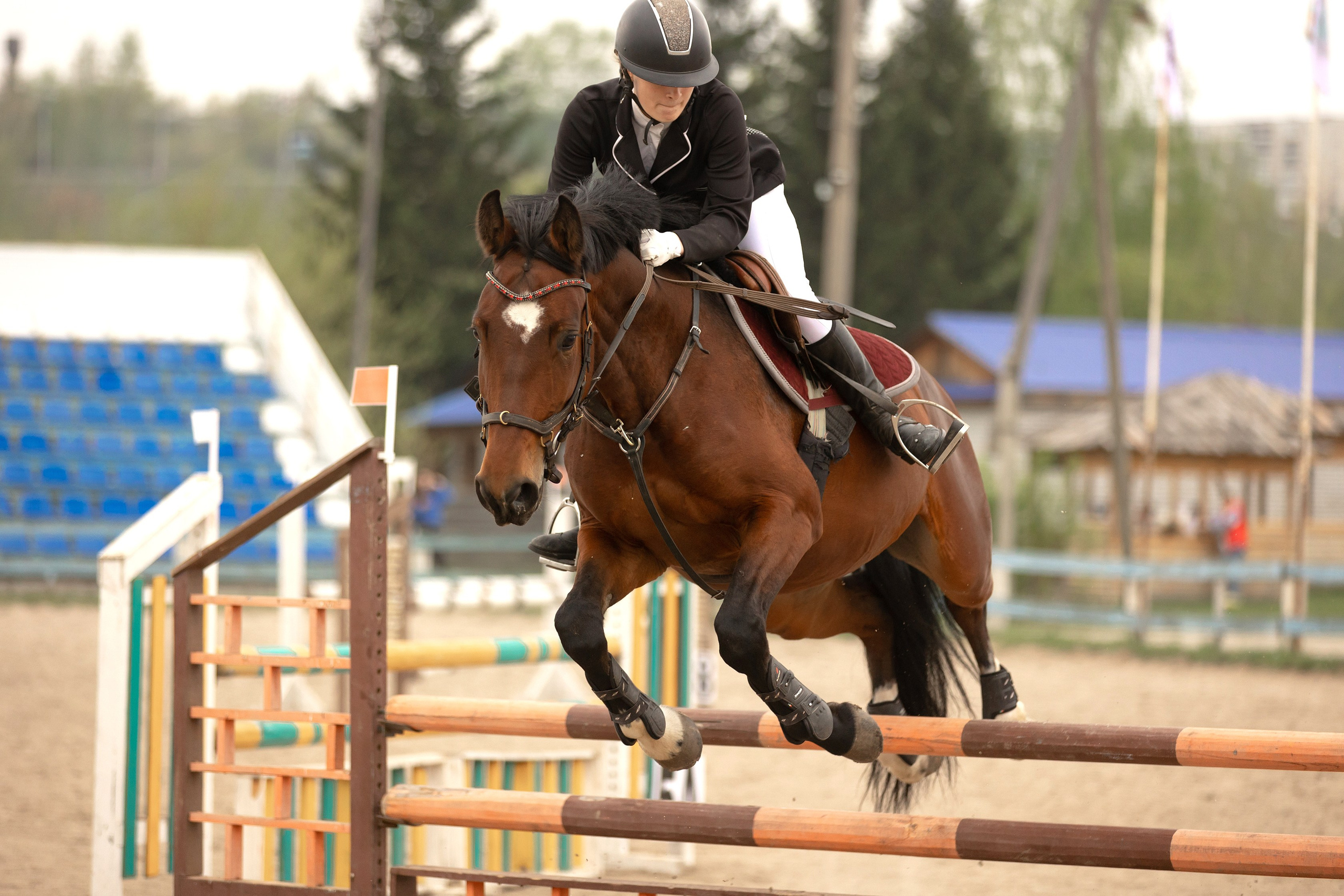 Соревнования по конному спорту. Конный фотограф Валынкина Лера
