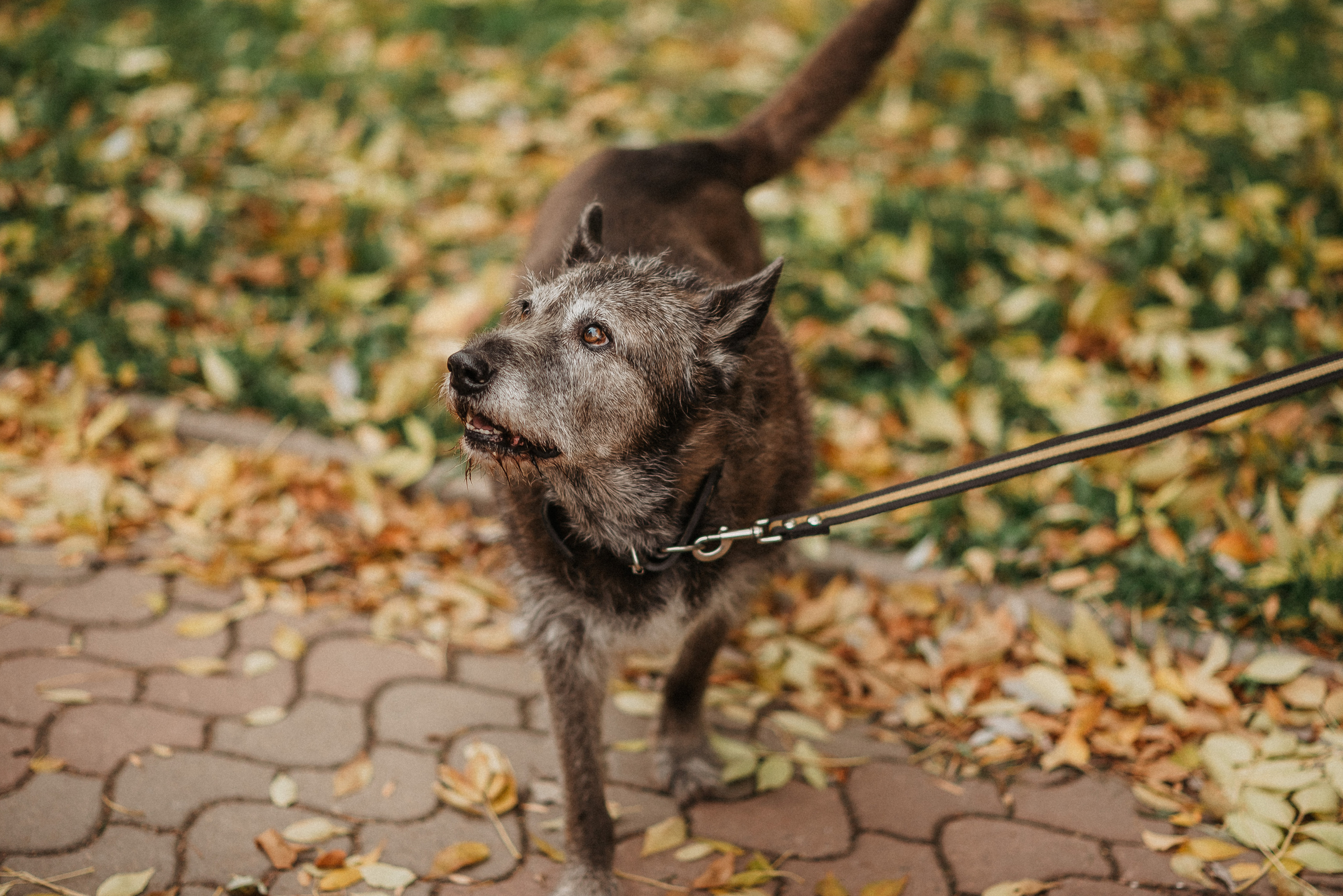 300 лет ГАВАНЬ. Фотограф Мария Хлебникова Санкт-Петербург Москва