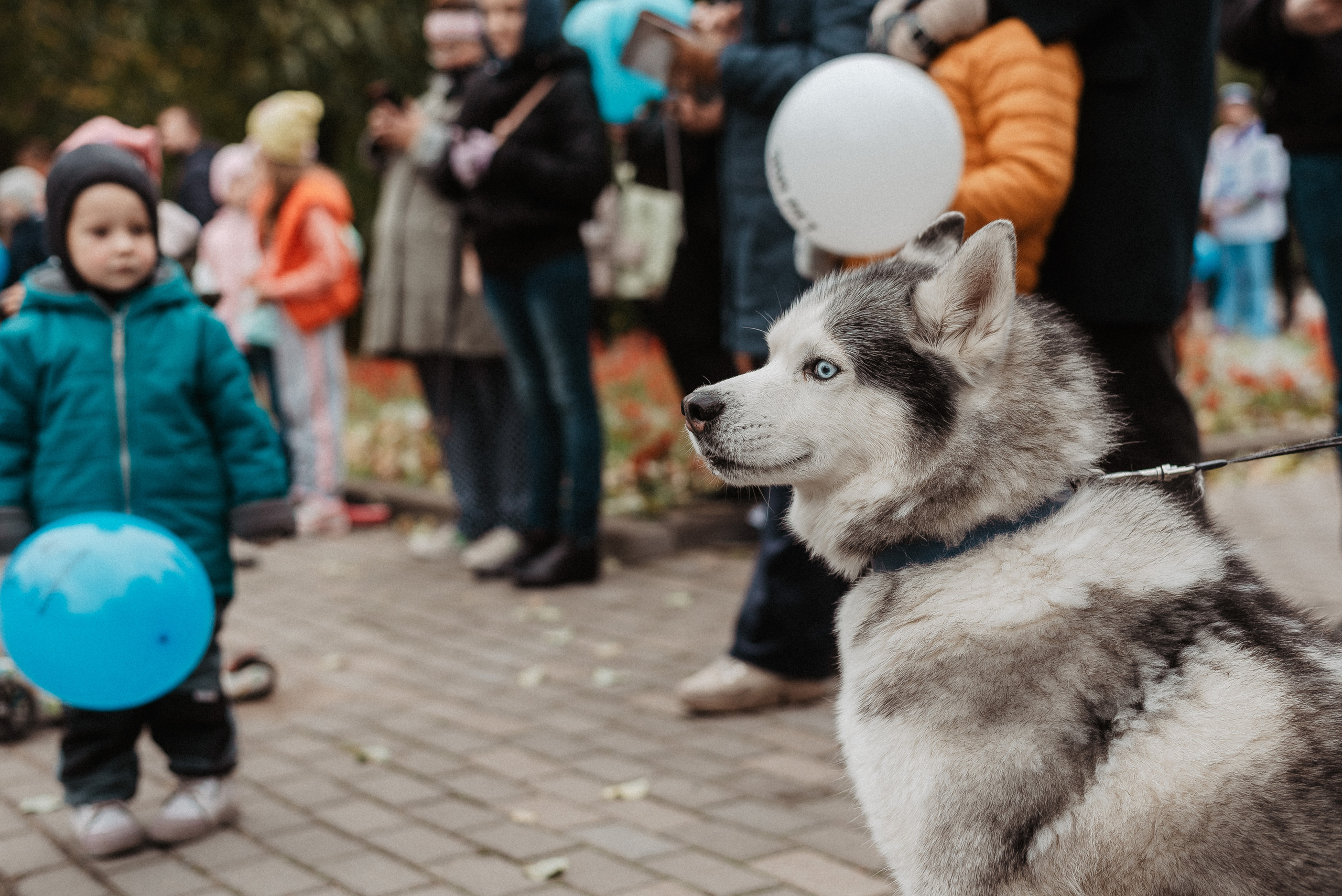 300 лет ГАВАНЬ. Фотограф Мария Хлебникова Санкт-Петербург Москва