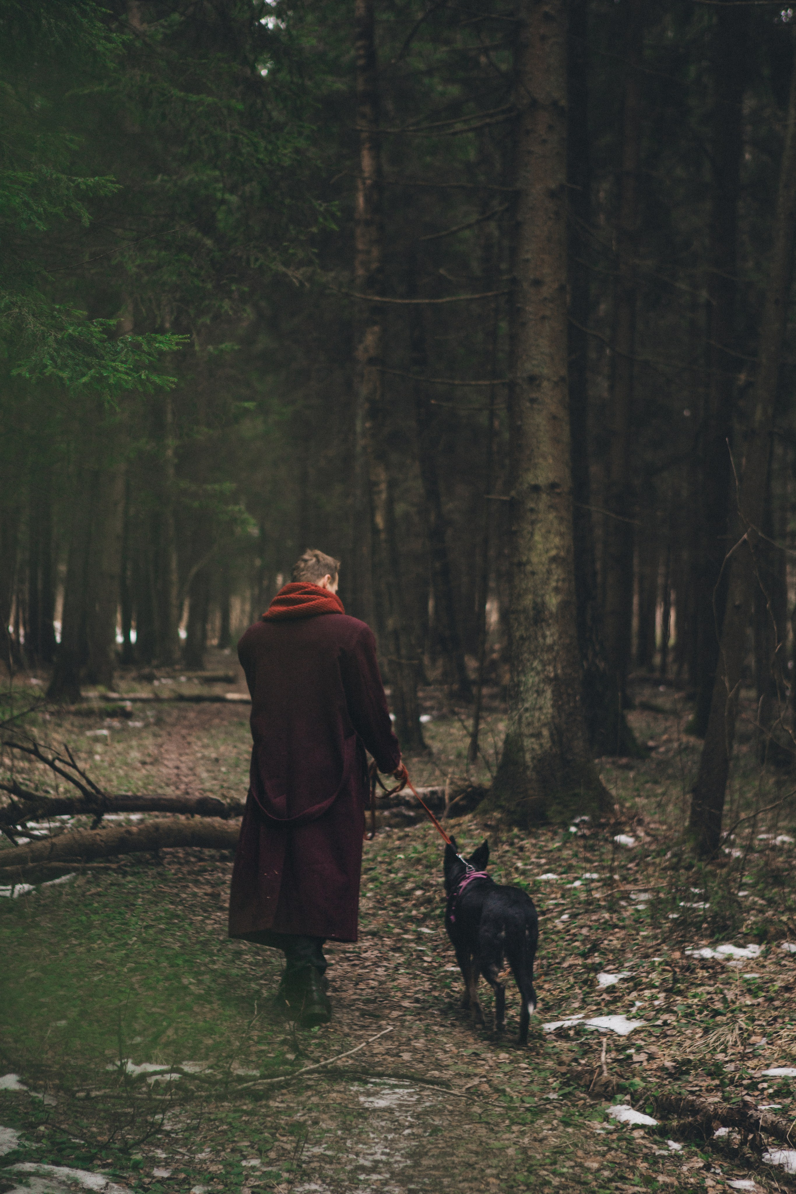 A cinematic tale of true love and unbreakable friendship between a man and a dog. Portrait, family and pet photographer in Cyprus, Ksenia Bourdelle