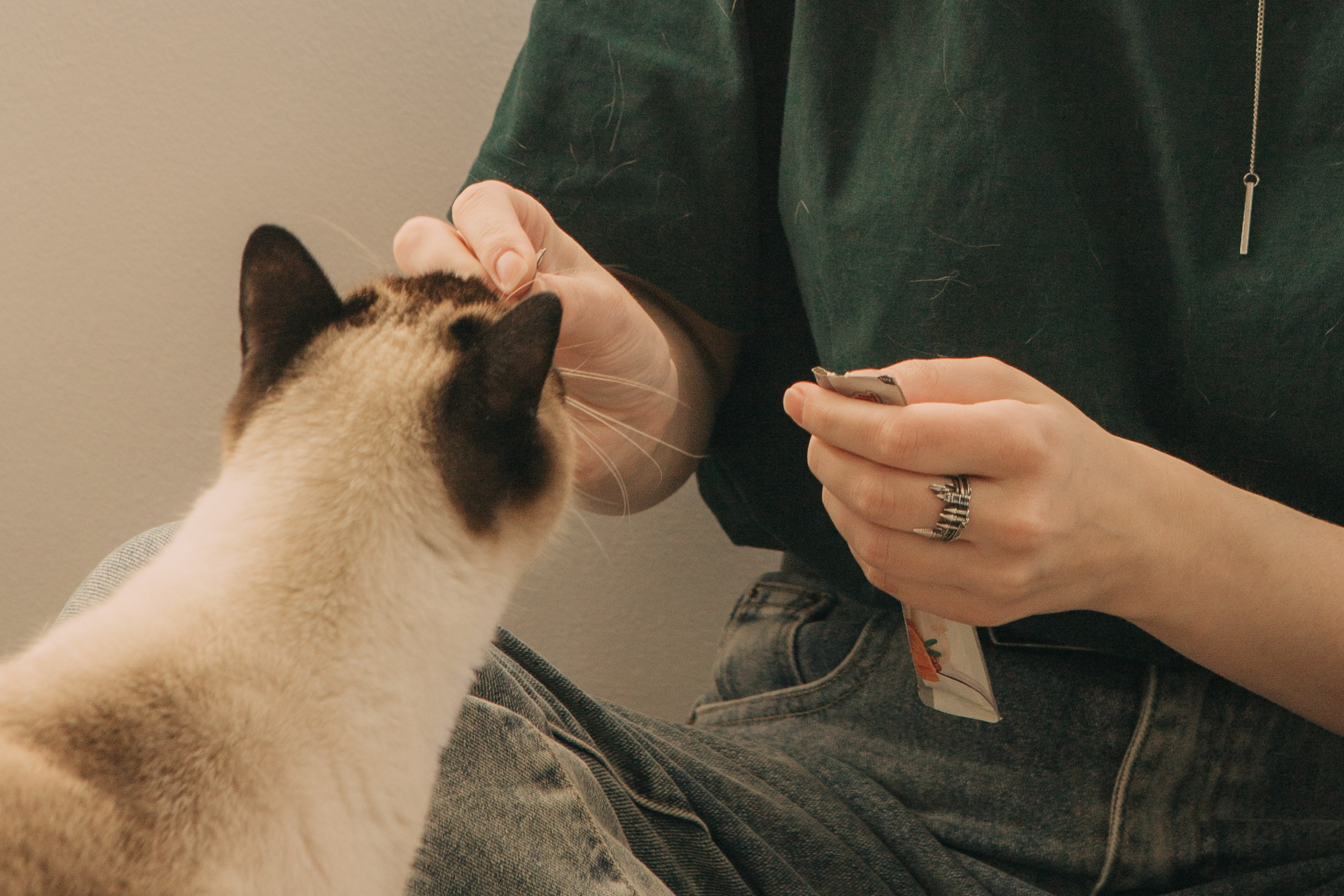 Alina. Portrait, family and pet photographer in Cyprus, Ksenia Bourdelle