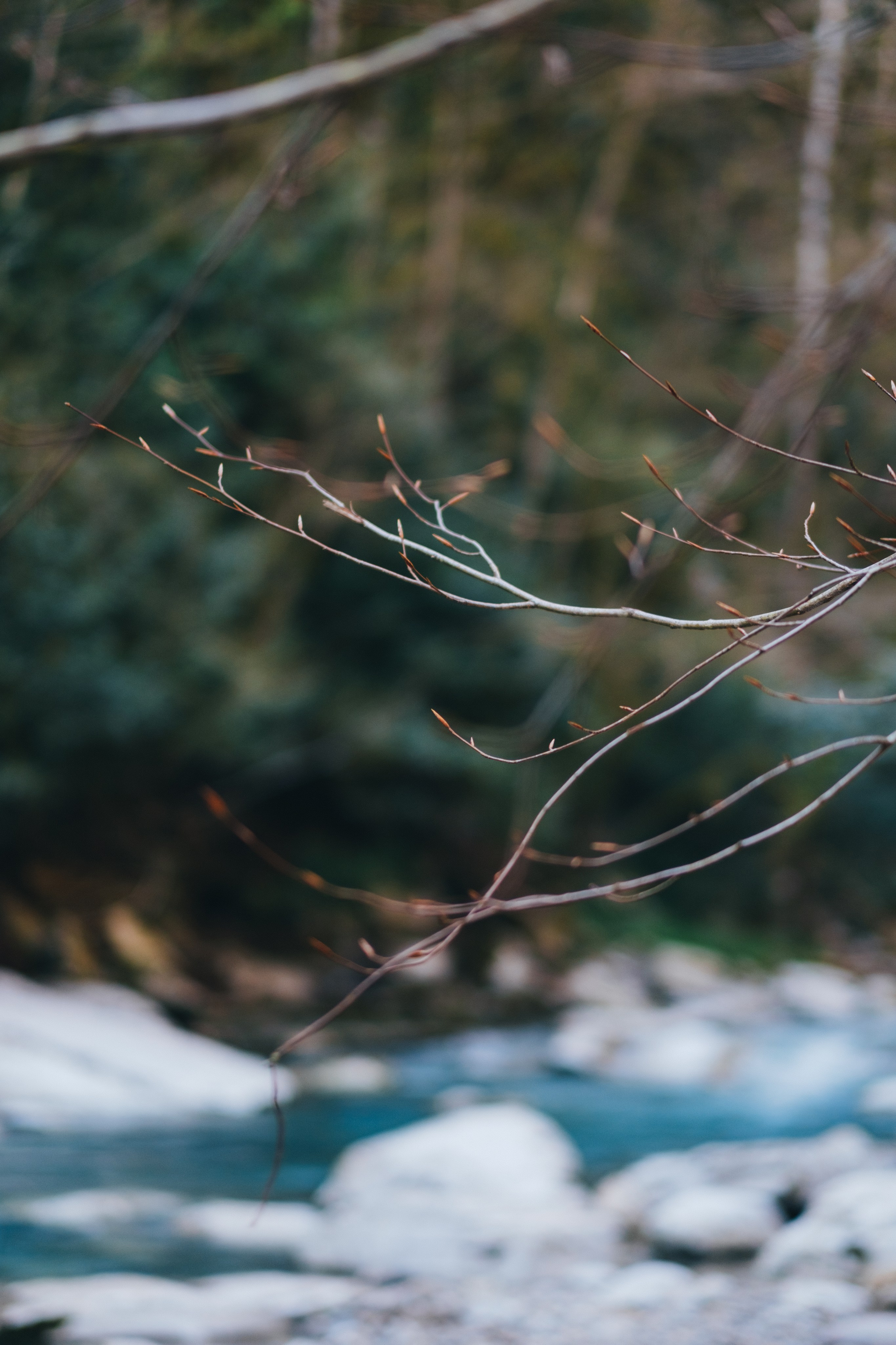 Белые скалы. Свадебный Видеограф Фотограф в Сочи